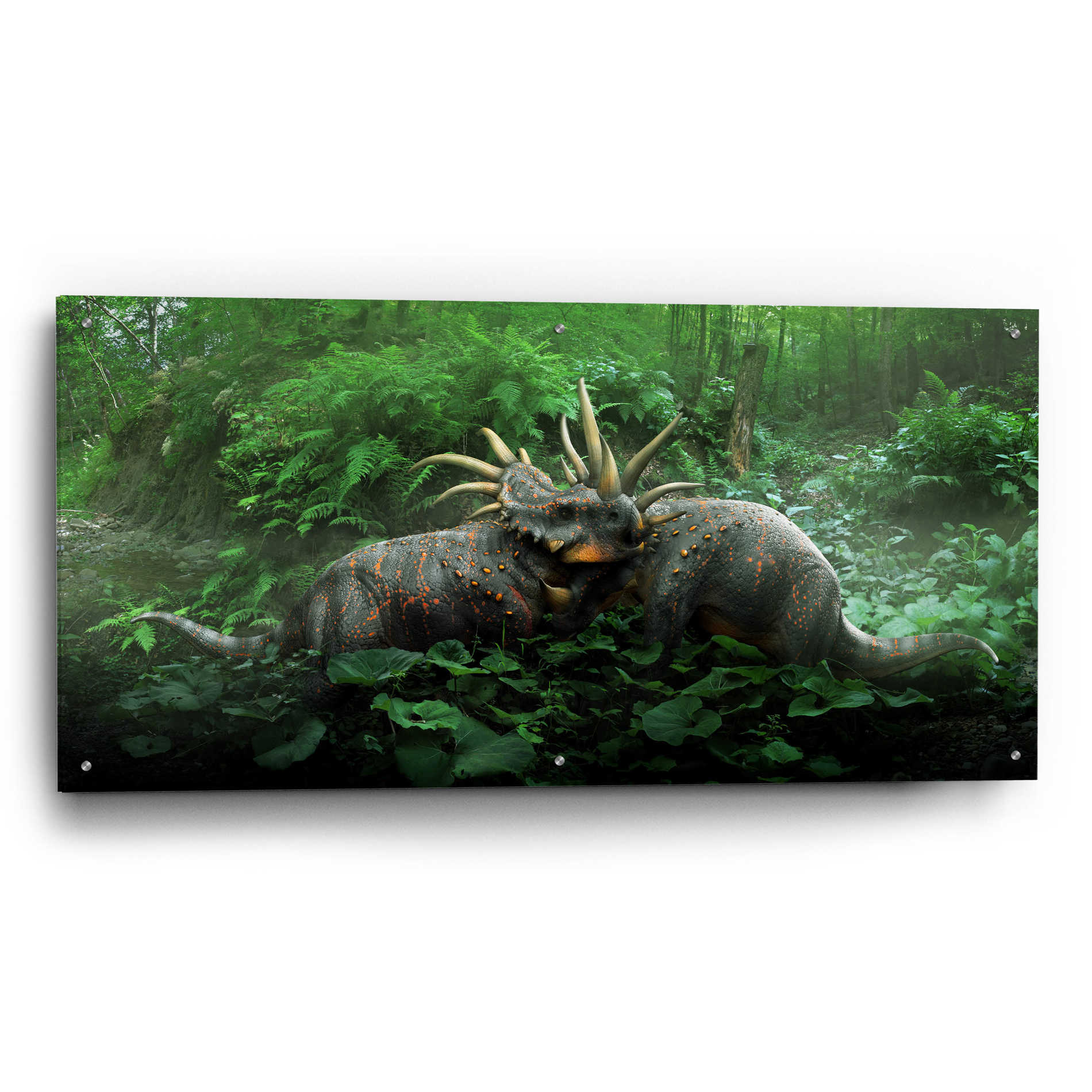 Epic Art 'Dueling Styracosurus,' Acrylic Glass Wall Art,48x24