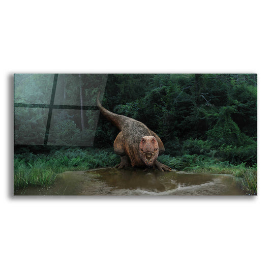Epic Art 'Watering Hole,' Acrylic Glass Wall Art,Secret_Comments_Retailing__c