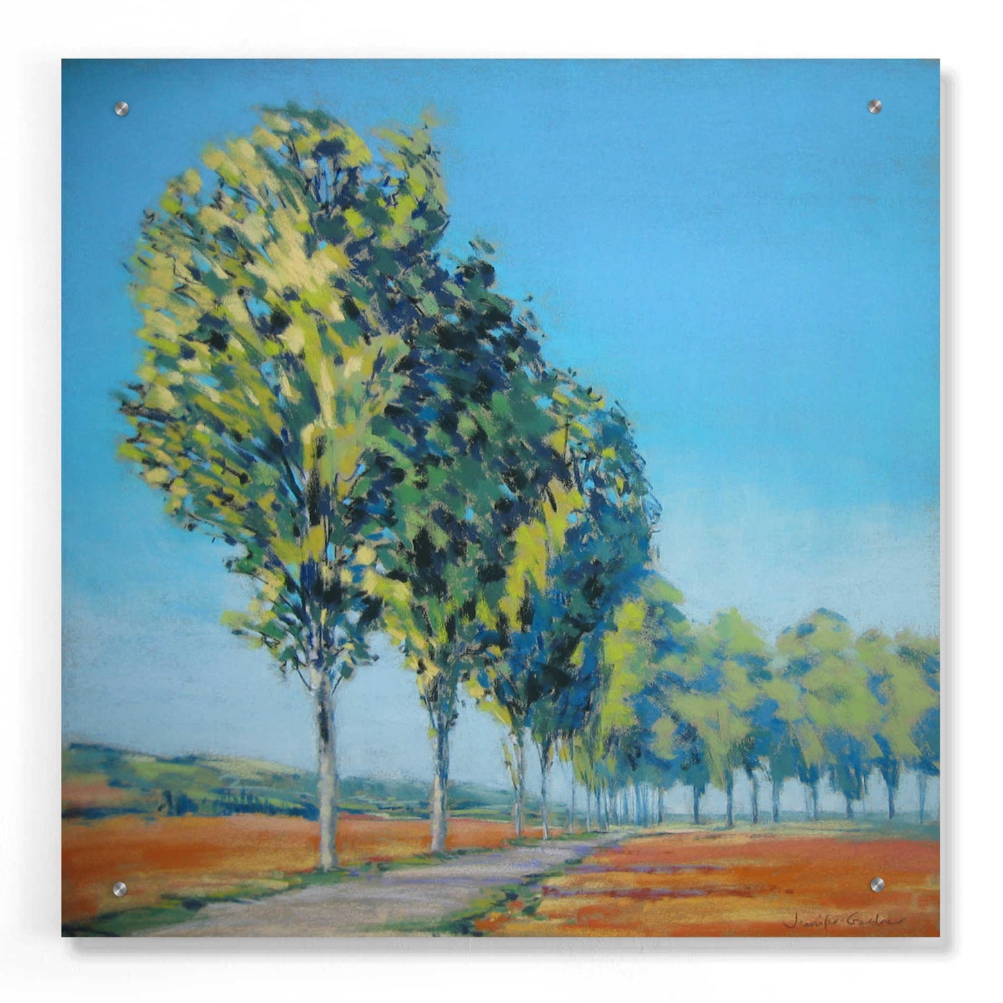 Epic Art 'Normandy Poplars II' by Jennifer Gardner, Acrylic Glass Wall Art,24x24