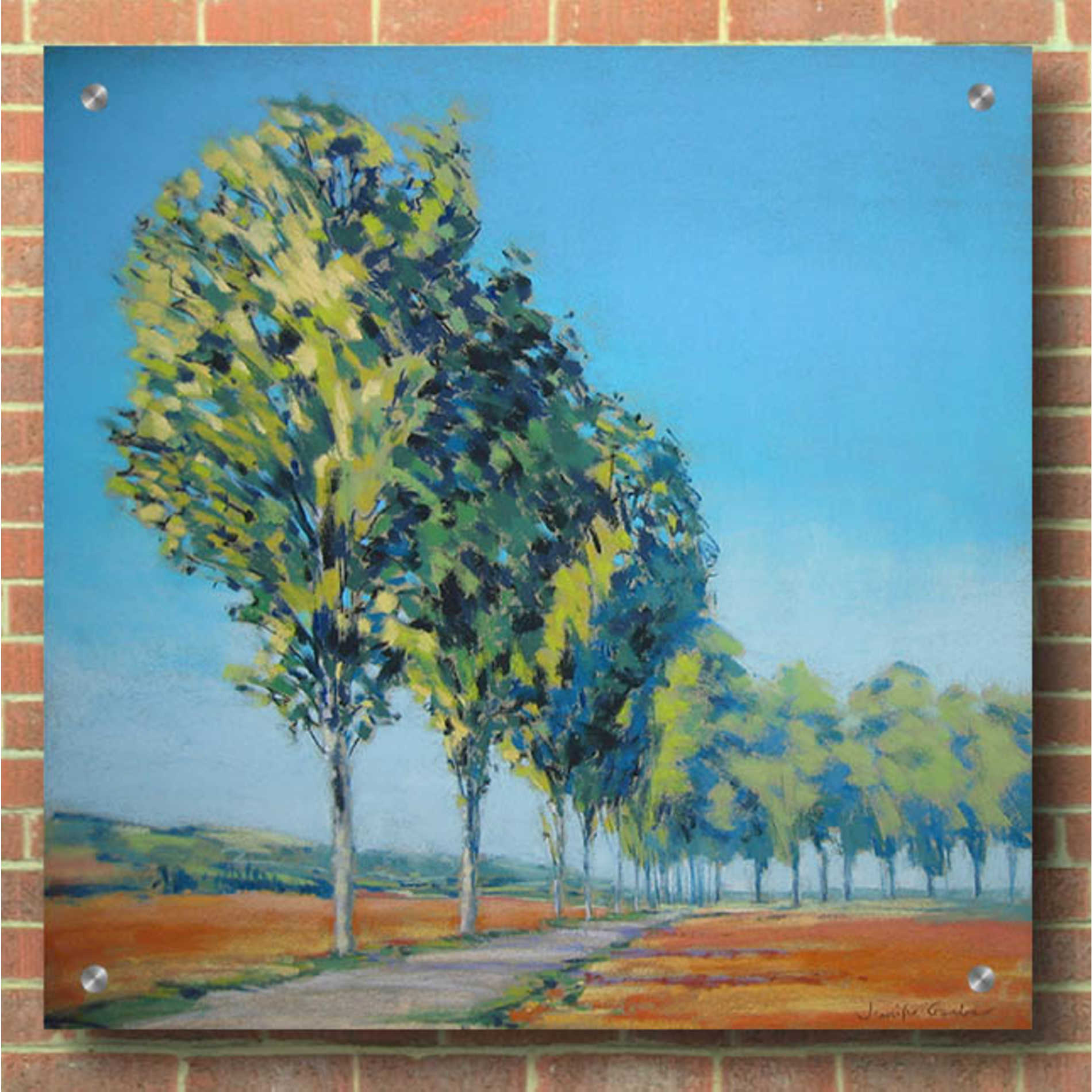 Epic Art 'Normandy Poplars II' by Jennifer Gardner, Acrylic Glass Wall Art,36x36