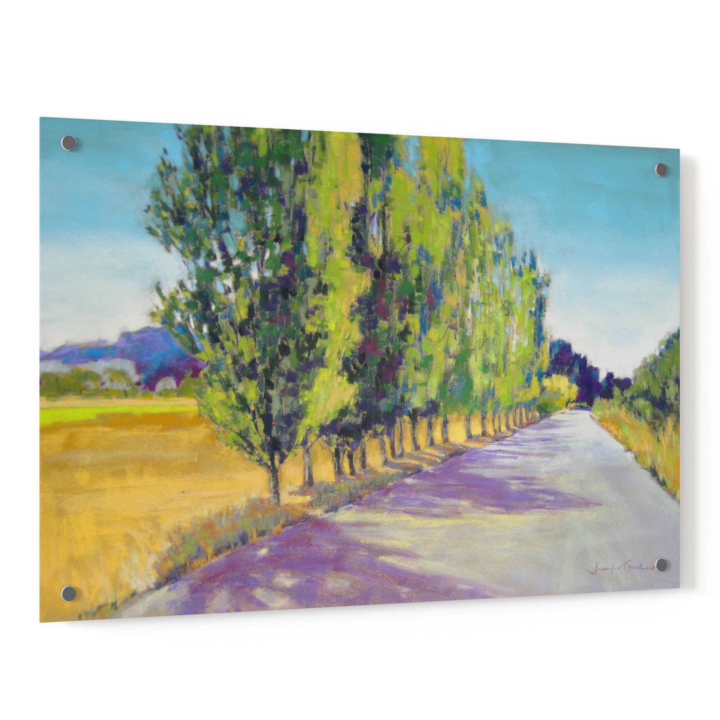 Epic Art 'Backlit Poplars Provence' by Jennifer Gardner, Acrylic Glass Wall Art,36x24