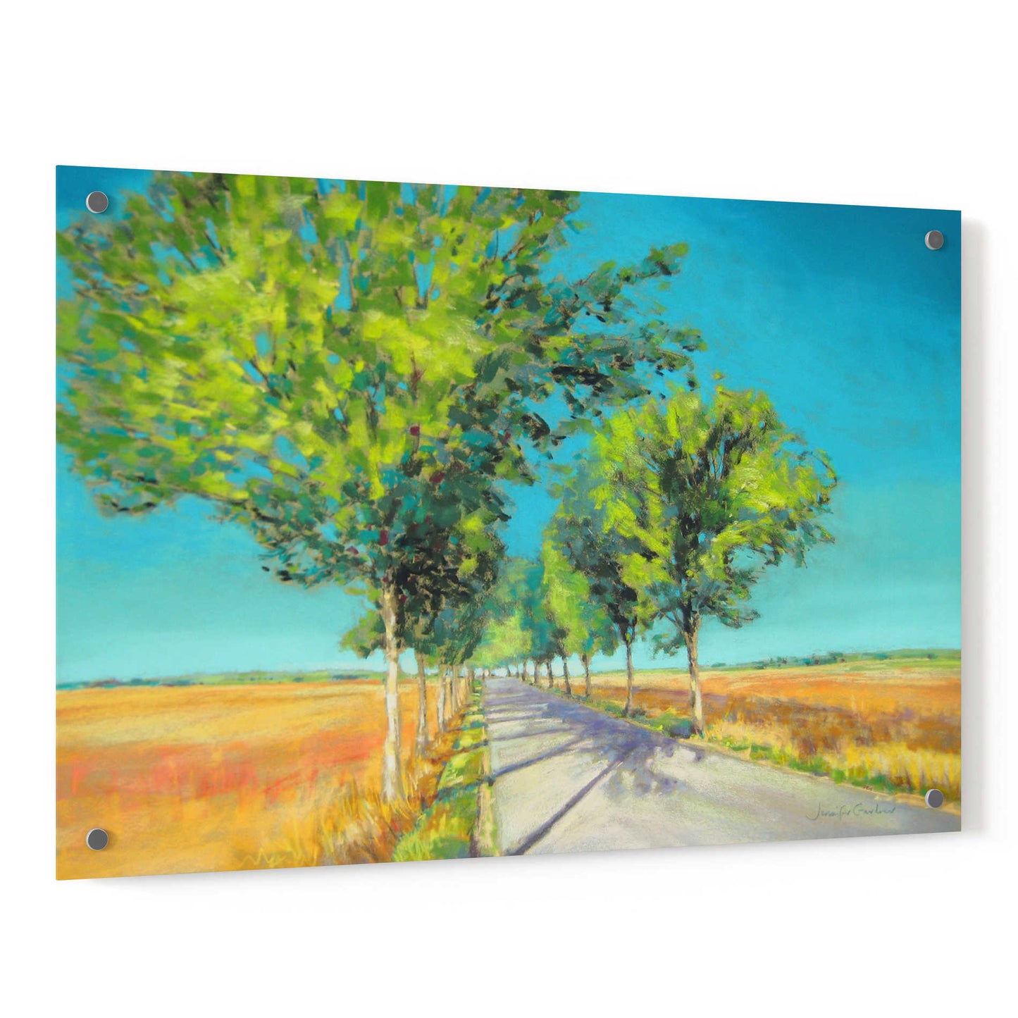 Epic Art 'Avenue of Trees Champagne France IV' by Jennifer Gardner, Acrylic Glass Wall Art,36x24