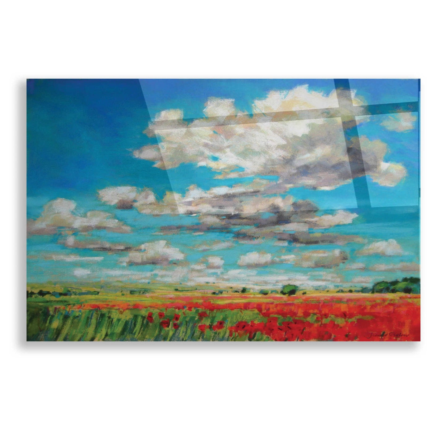 Epic Art 'Summer Clouds and Poppies' by Jennifer Gardner, Acrylic Glass Wall Art,16x12