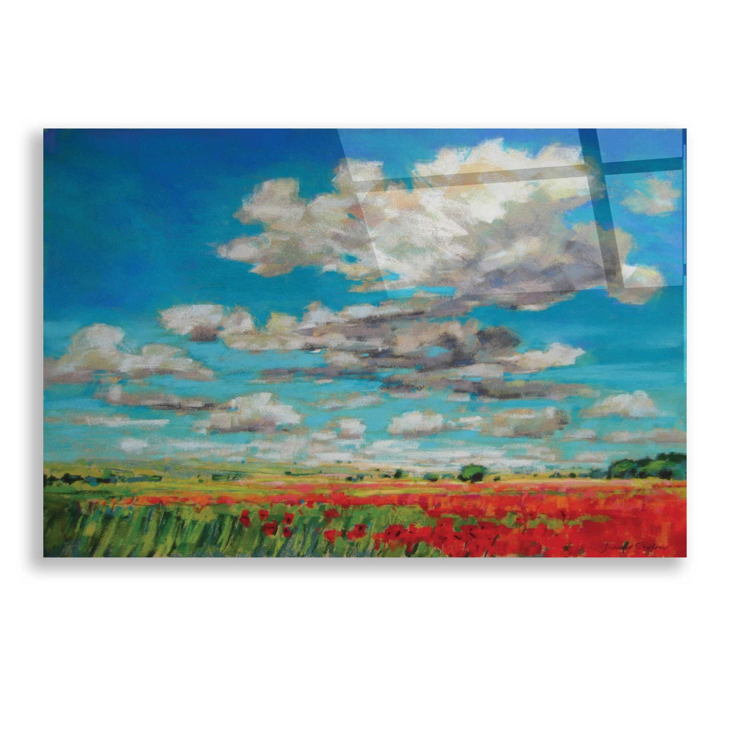 Epic Art 'Summer Clouds and Poppies' by Jennifer Gardner, Acrylic Glass Wall Art,24x16