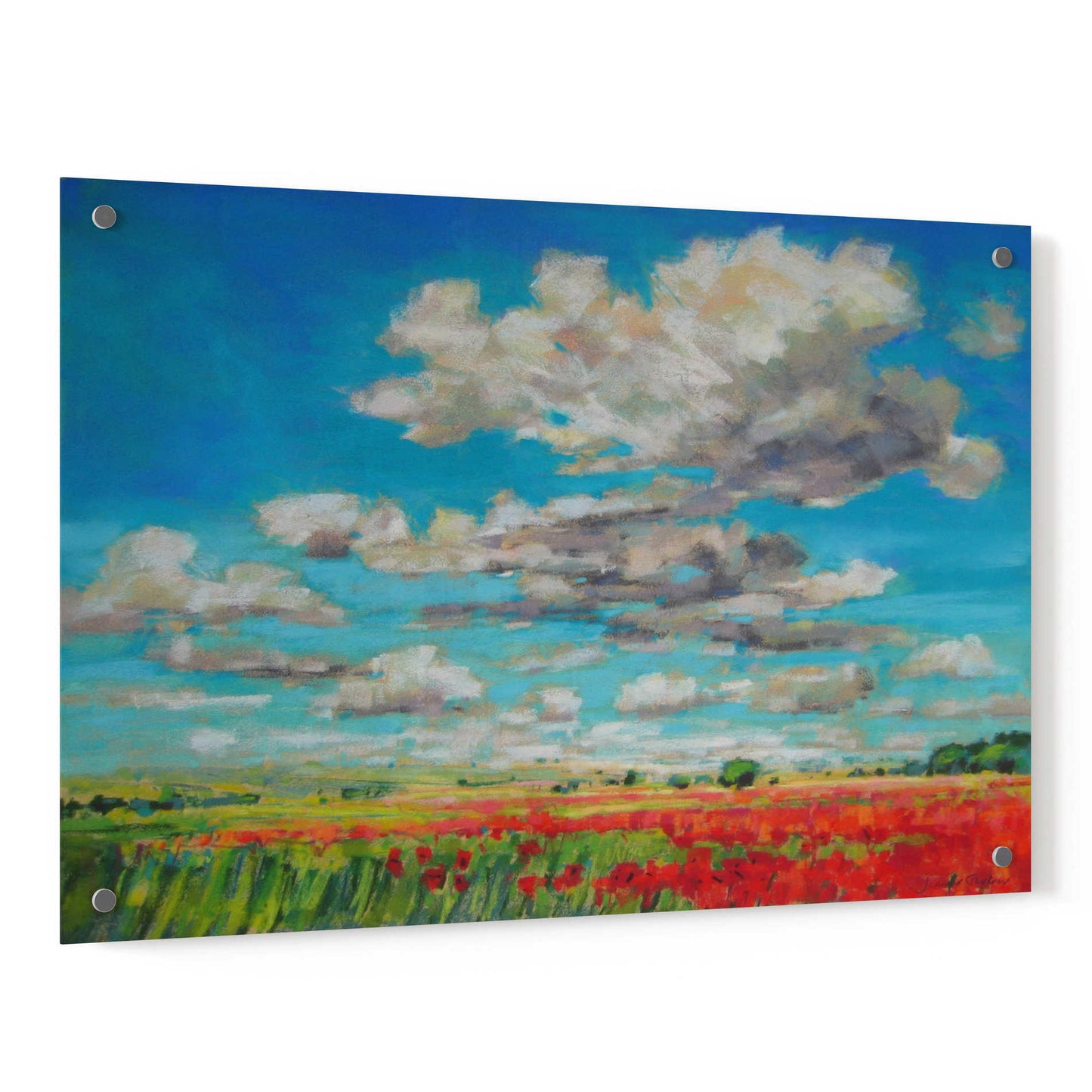 Epic Art 'Summer Clouds and Poppies' by Jennifer Gardner, Acrylic Glass Wall Art,36x24