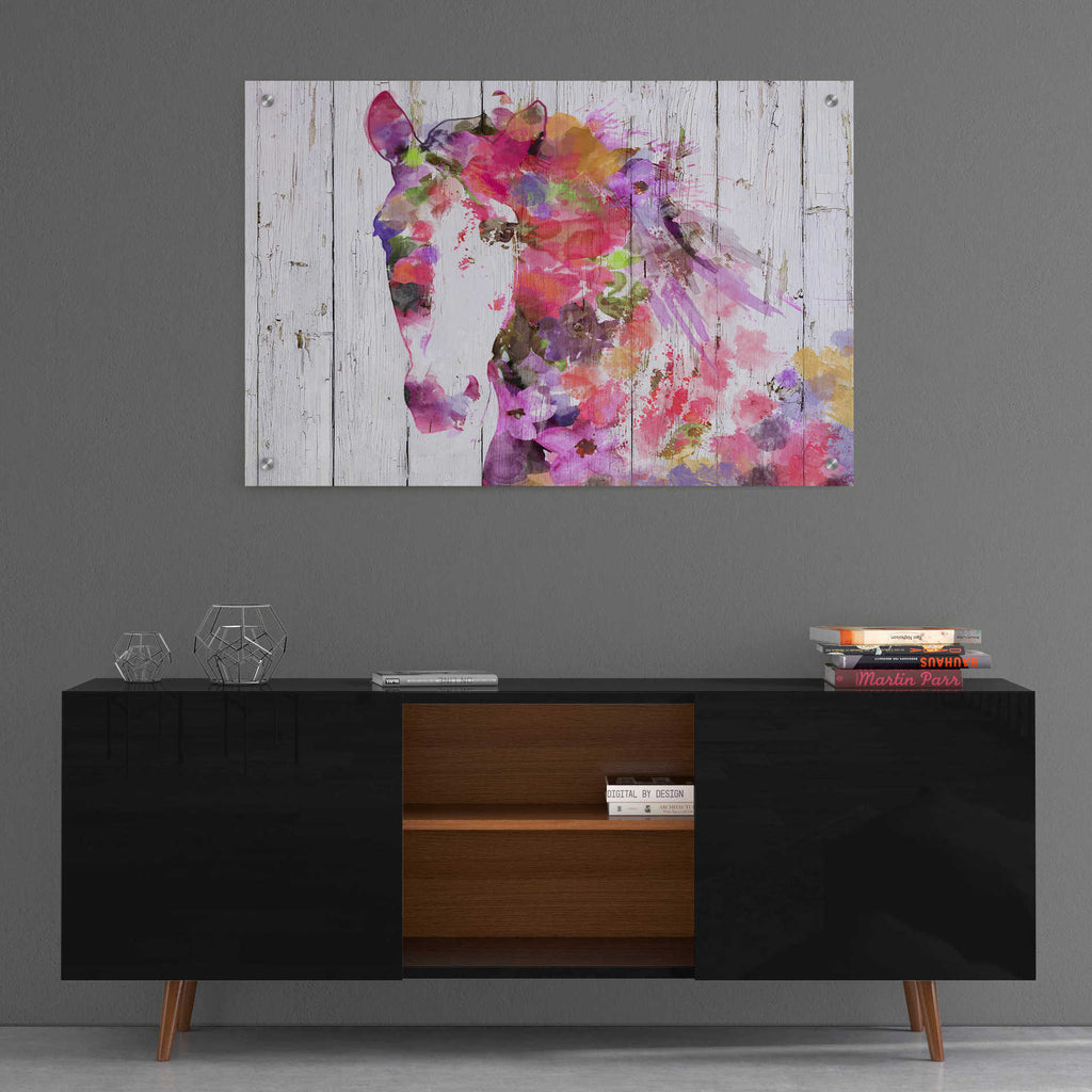 Epic Art 'Gypsy Soul' by Irena Orlov, Acrylic Glass Wall Art,36x24