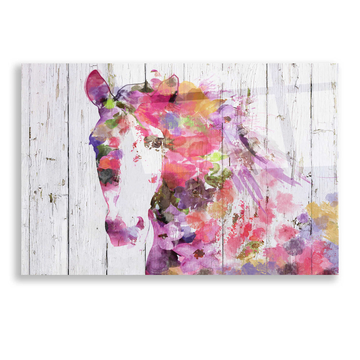 Epic Art 'Gypsy Soul' by Irena Orlov, Acrylic Glass Wall Art