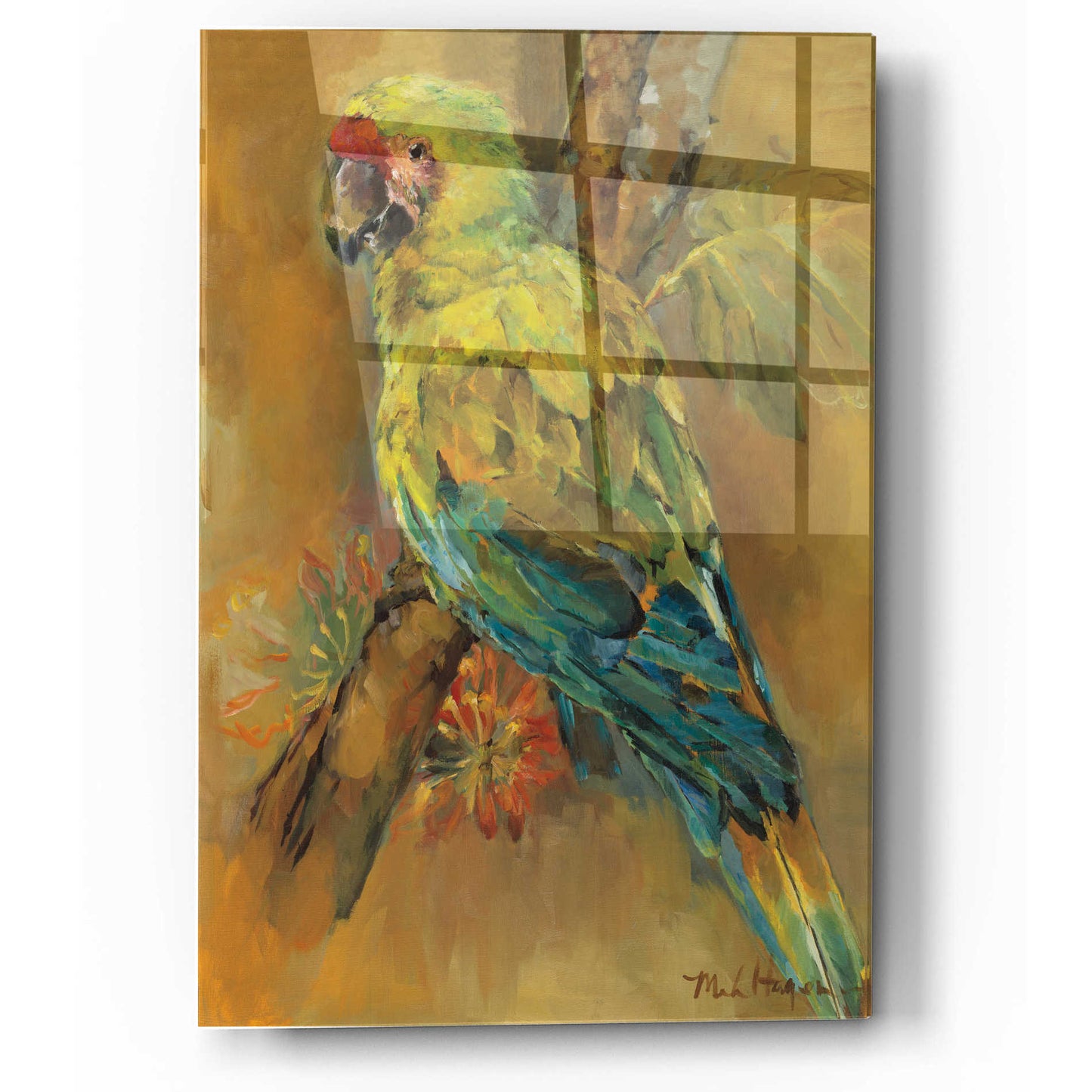 Epic Art 'Tropical Bird' by Marilyn Hageman, Acrylic Glass Wall Art,12x16