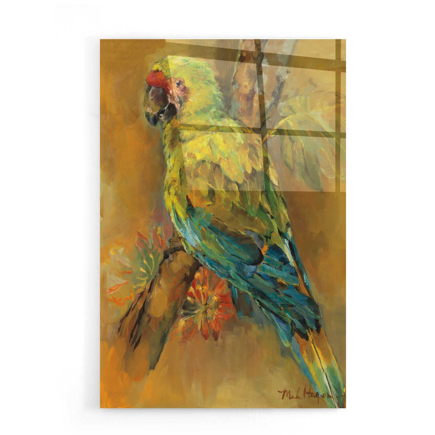 Epic Art 'Tropical Bird' by Marilyn Hageman, Acrylic Glass Wall Art,16x24