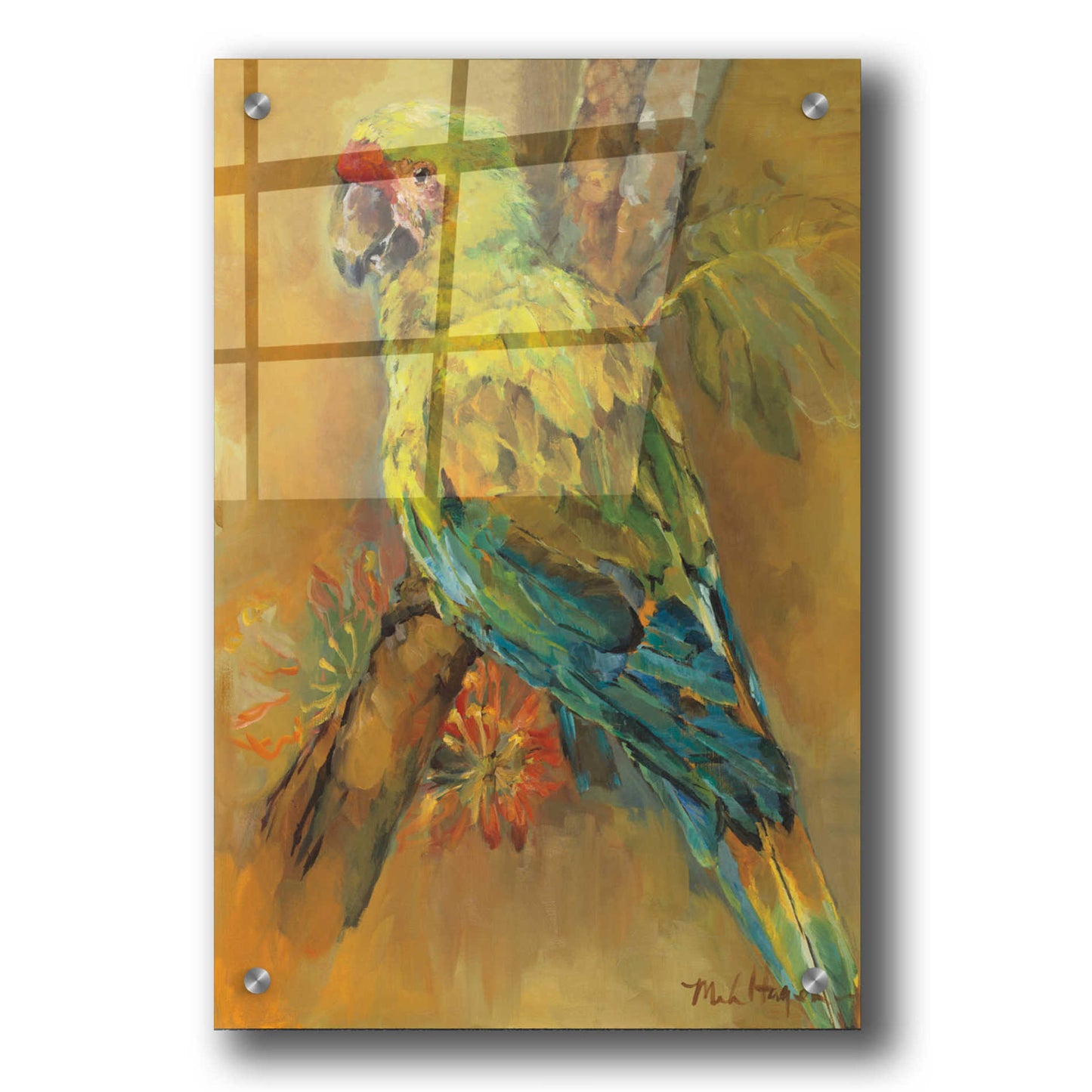 Epic Art 'Tropical Bird' by Marilyn Hageman, Acrylic Glass Wall Art,24x36