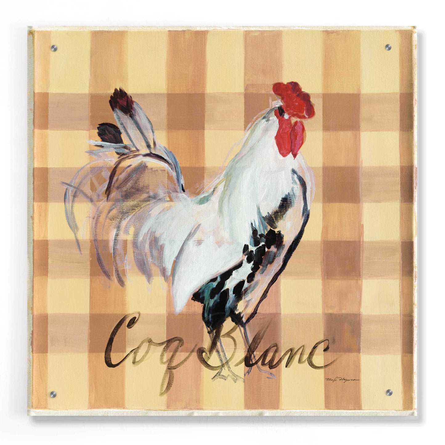 Epic Art 'Coq Blanc' by Marilyn Hageman, Acrylic Glass Wall Art,24x24