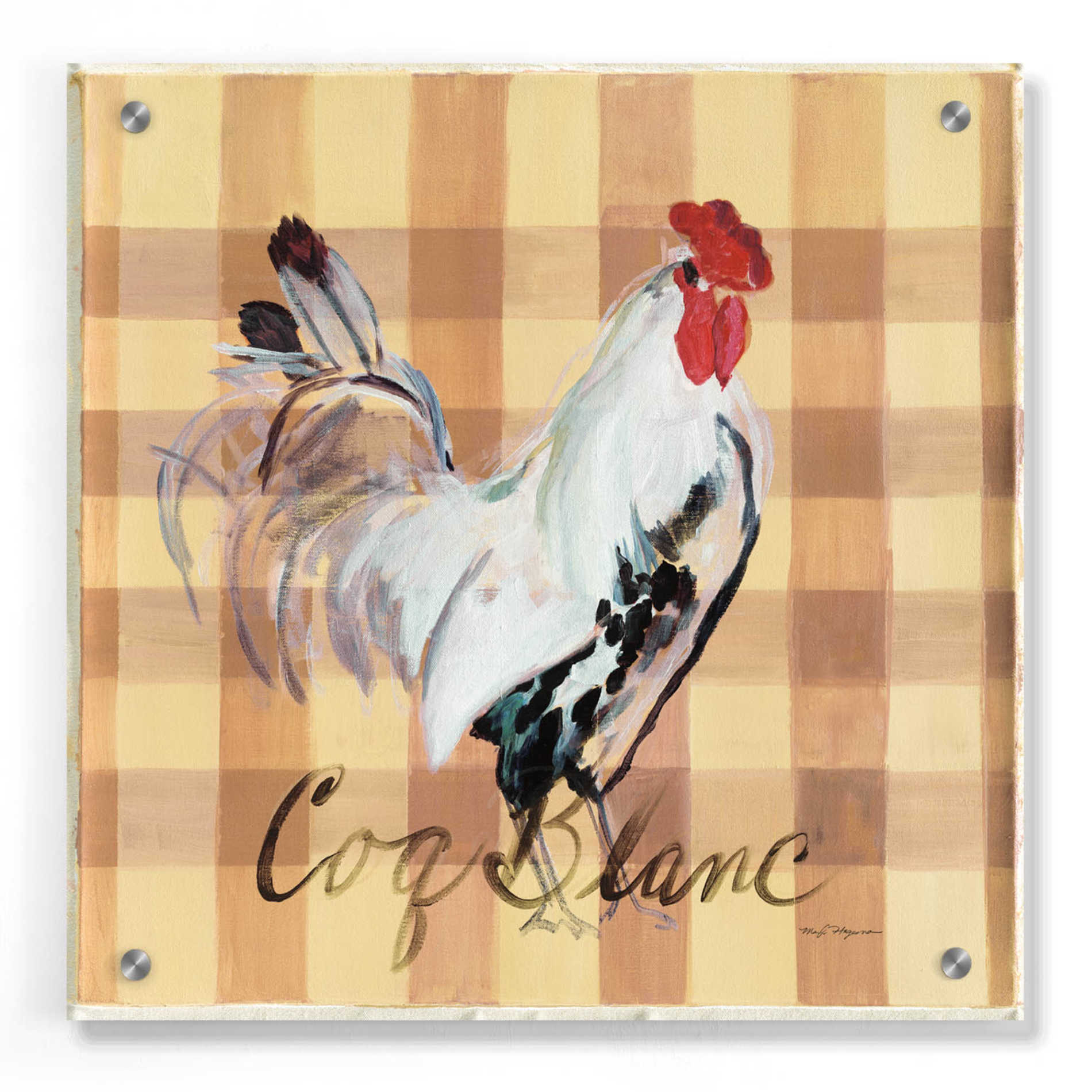 Epic Art 'Coq Blanc' by Marilyn Hageman, Acrylic Glass Wall Art,36x36