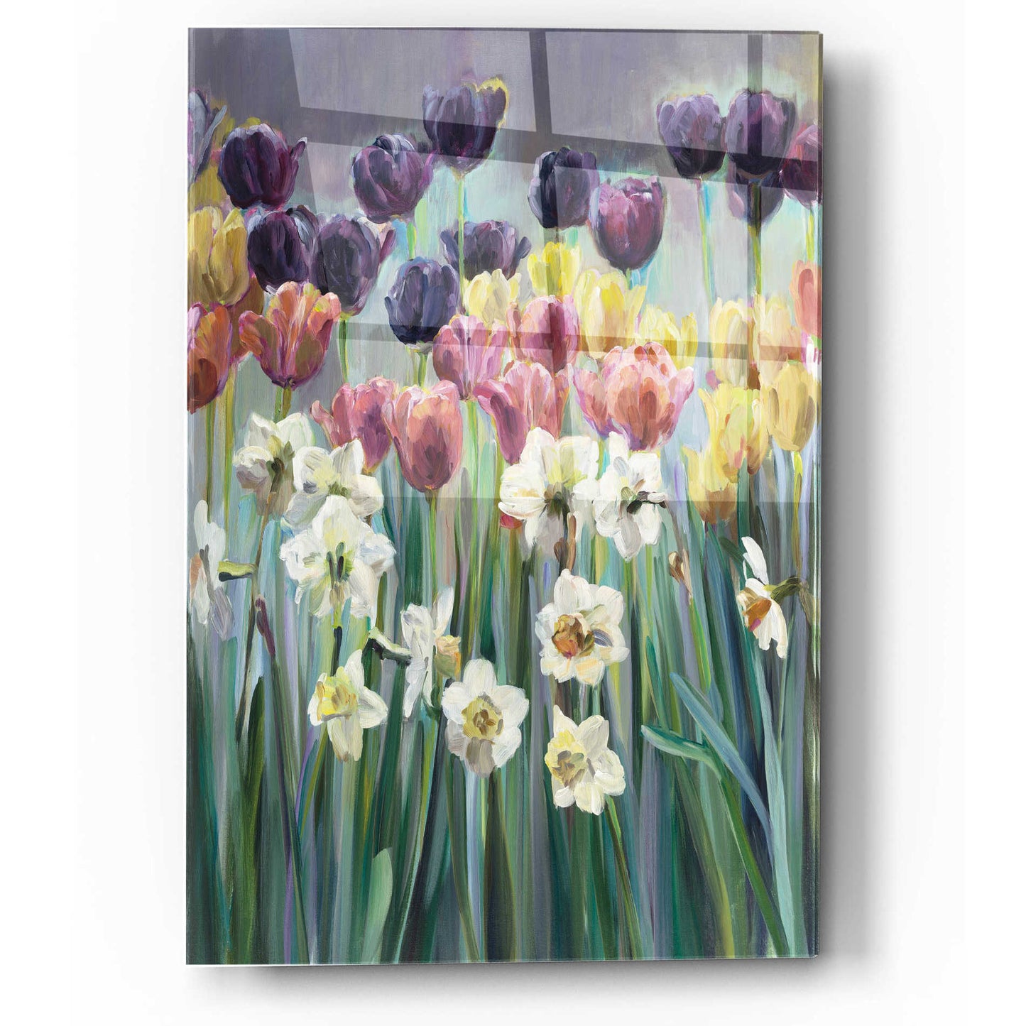 Epic Art 'Grape Tulips' by Marilyn Hageman, Acrylic Glass Wall Art,12x16