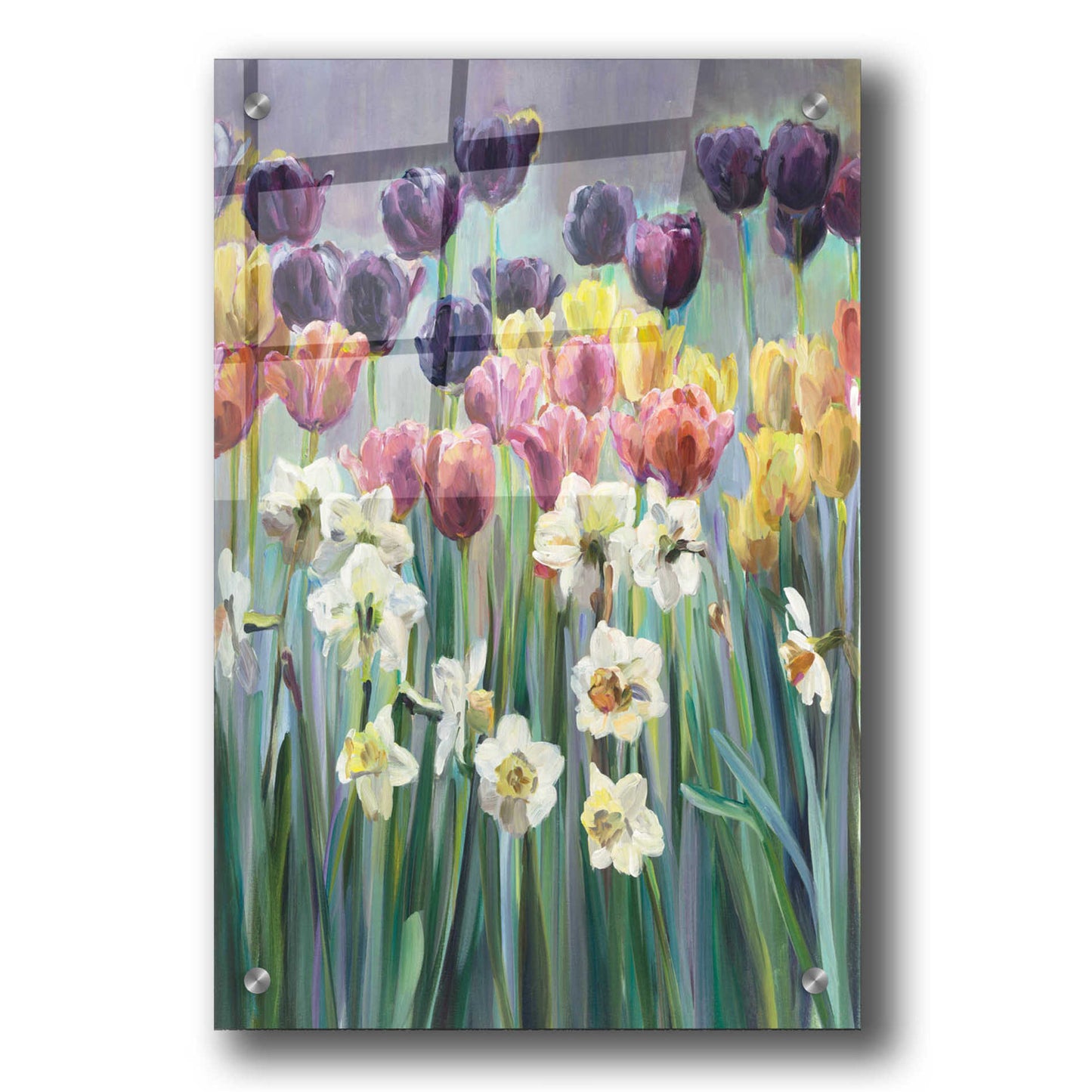 Epic Art 'Grape Tulips' by Marilyn Hageman, Acrylic Glass Wall Art,24x36