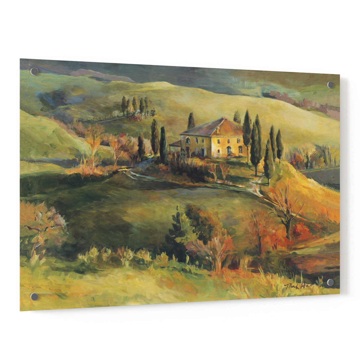 Epic Art 'Tuscan Hillside' by Marilyn Hageman, Acrylic Glass Wall Art,36x24