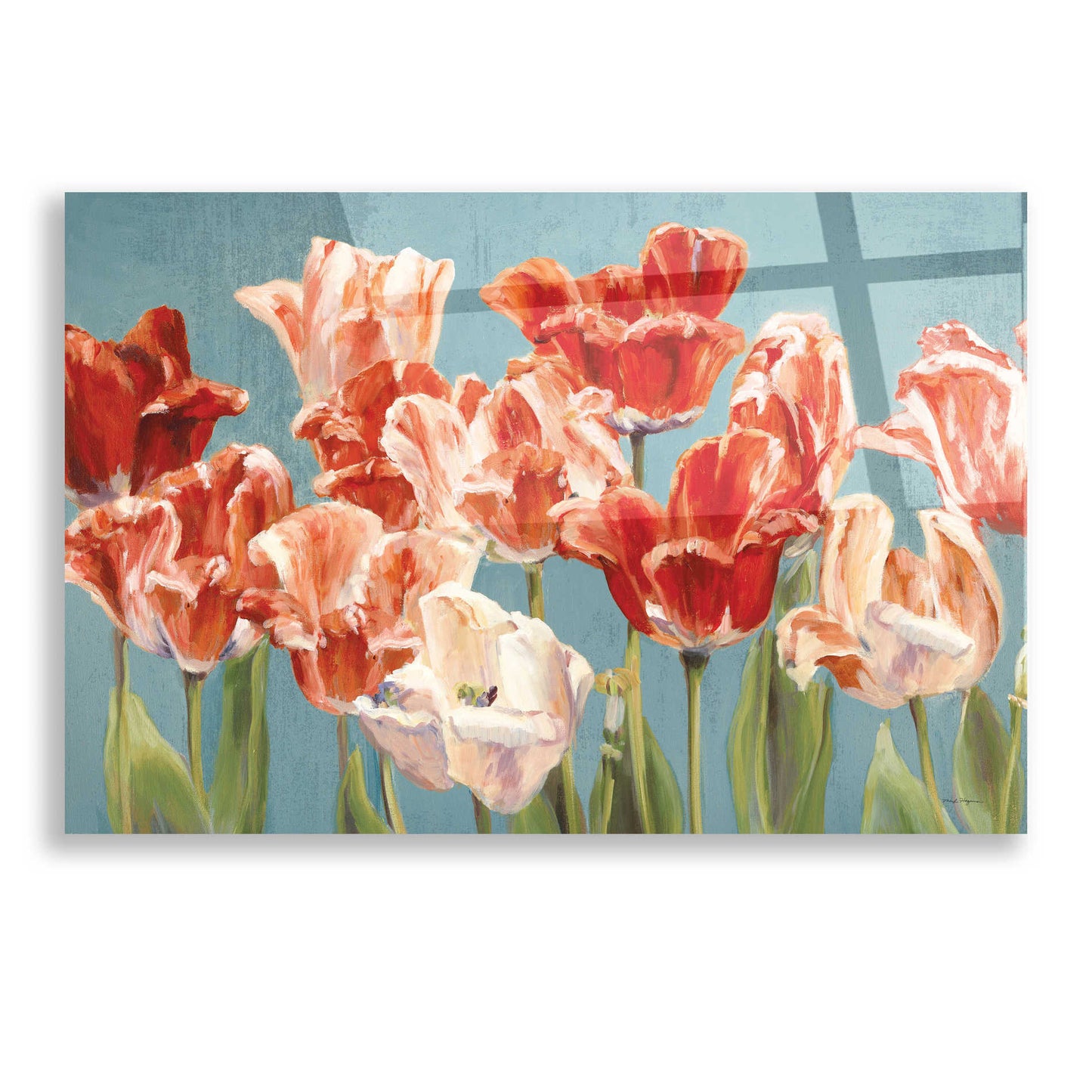 Epic Art 'Crimson Tulips on Blue' by Marilyn Hageman, Acrylic Glass Wall Art,16x12