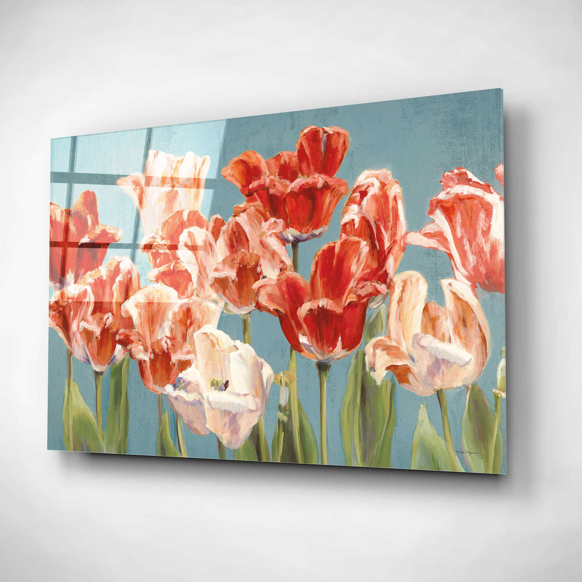 Epic Art 'Crimson Tulips on Blue' by Marilyn Hageman, Acrylic Glass Wall Art,24x16