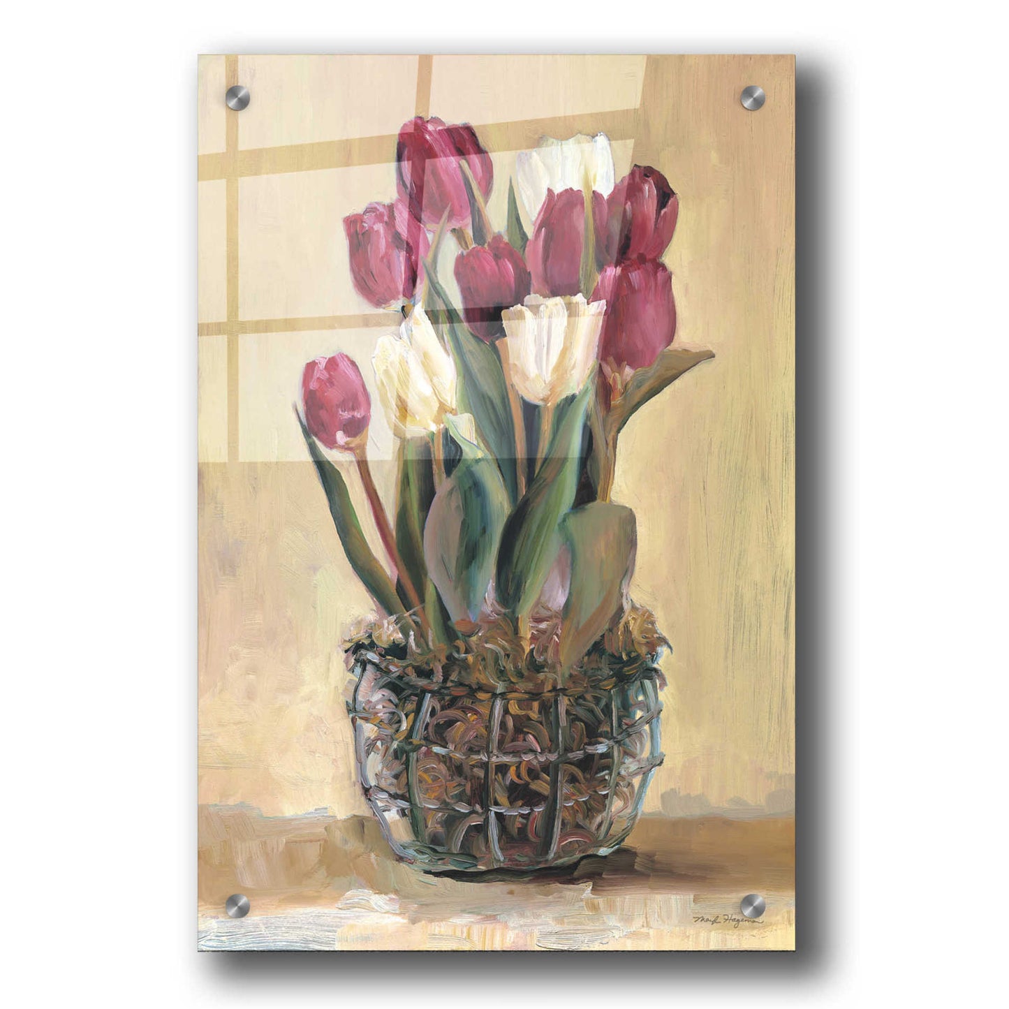 Epic Art 'Potted Tulips' by Marilyn Hageman, Acrylic Glass Wall Art,24x36
