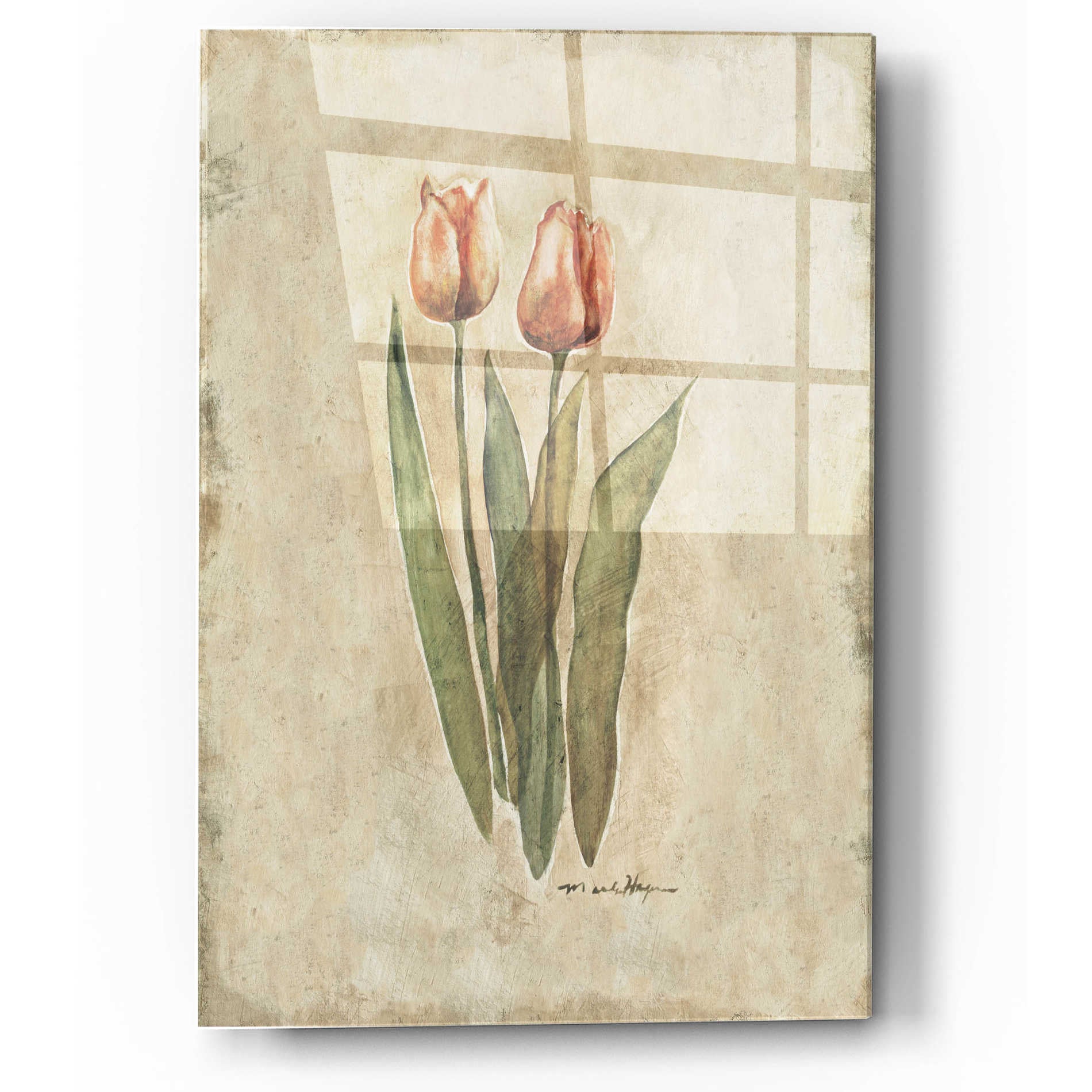 Epic Art 'Sprintime Tulips' by Marilyn Hageman, Acrylic Glass Wall Art,12x16