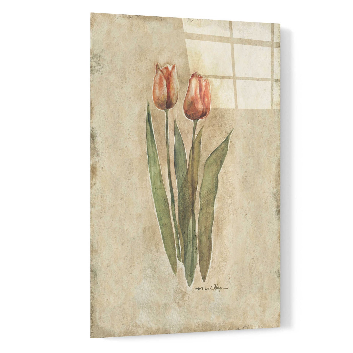 Epic Art 'Sprintime Tulips' by Marilyn Hageman, Acrylic Glass Wall Art,16x24