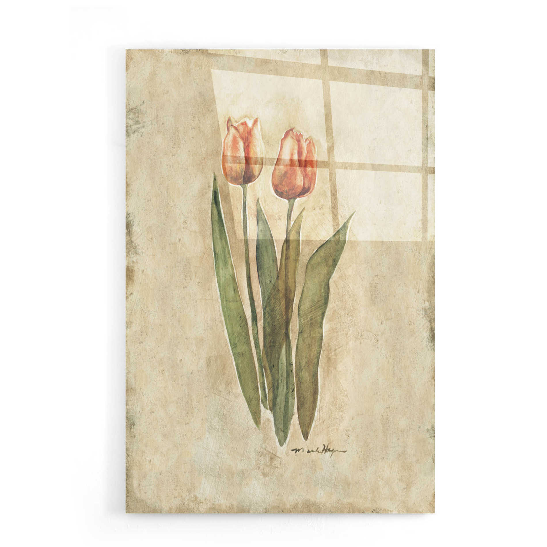 Epic Art 'Sprintime Tulips' by Marilyn Hageman, Acrylic Glass Wall Art,16x24