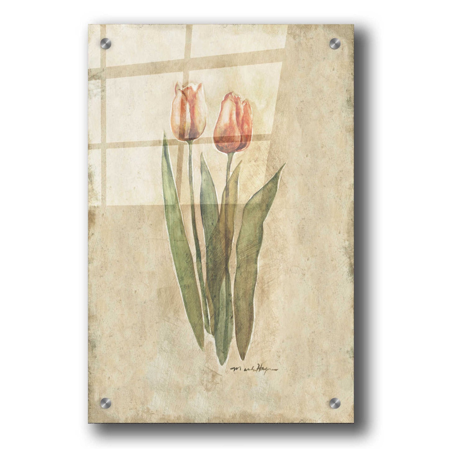 Epic Art 'Sprintime Tulips' by Marilyn Hageman, Acrylic Glass Wall Art,24x36