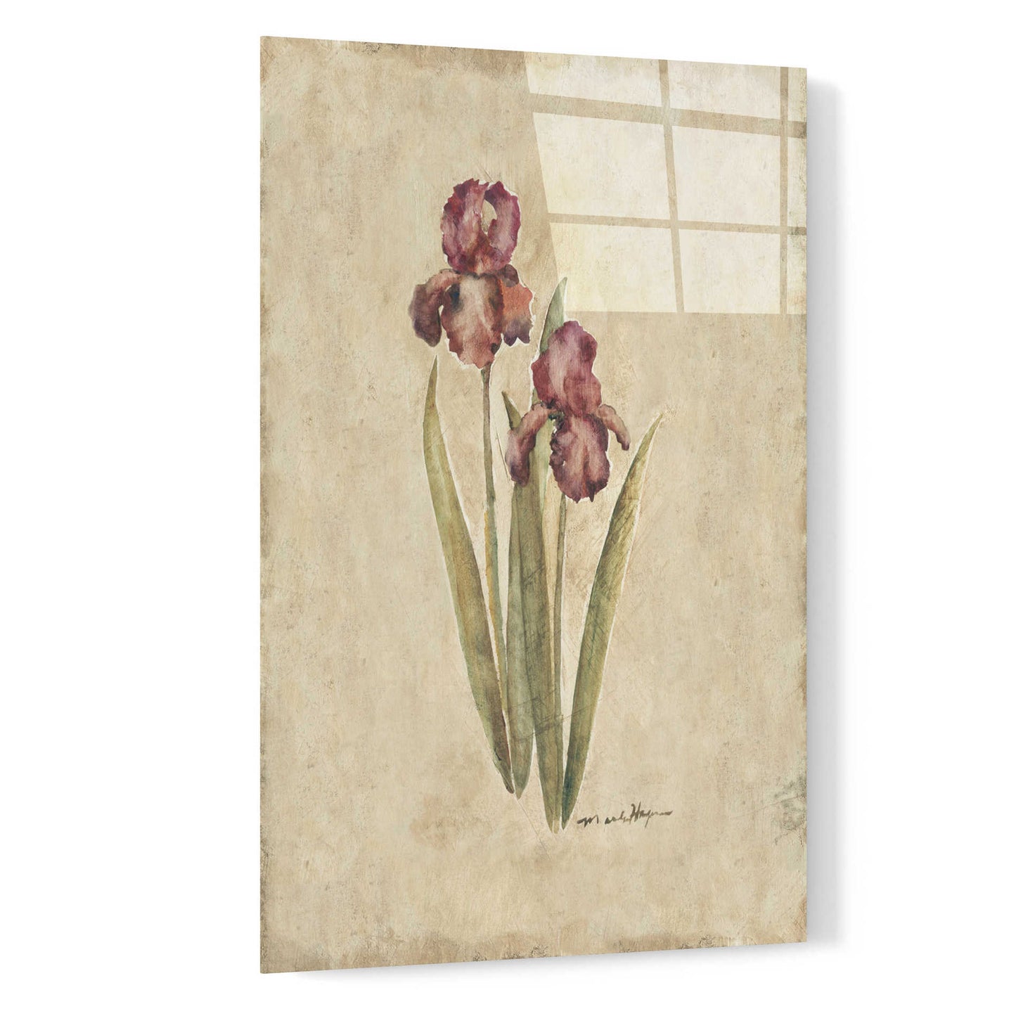 Epic Art 'Springtime Iris' by Marilyn Hageman, Acrylic Glass Wall Art,16x24