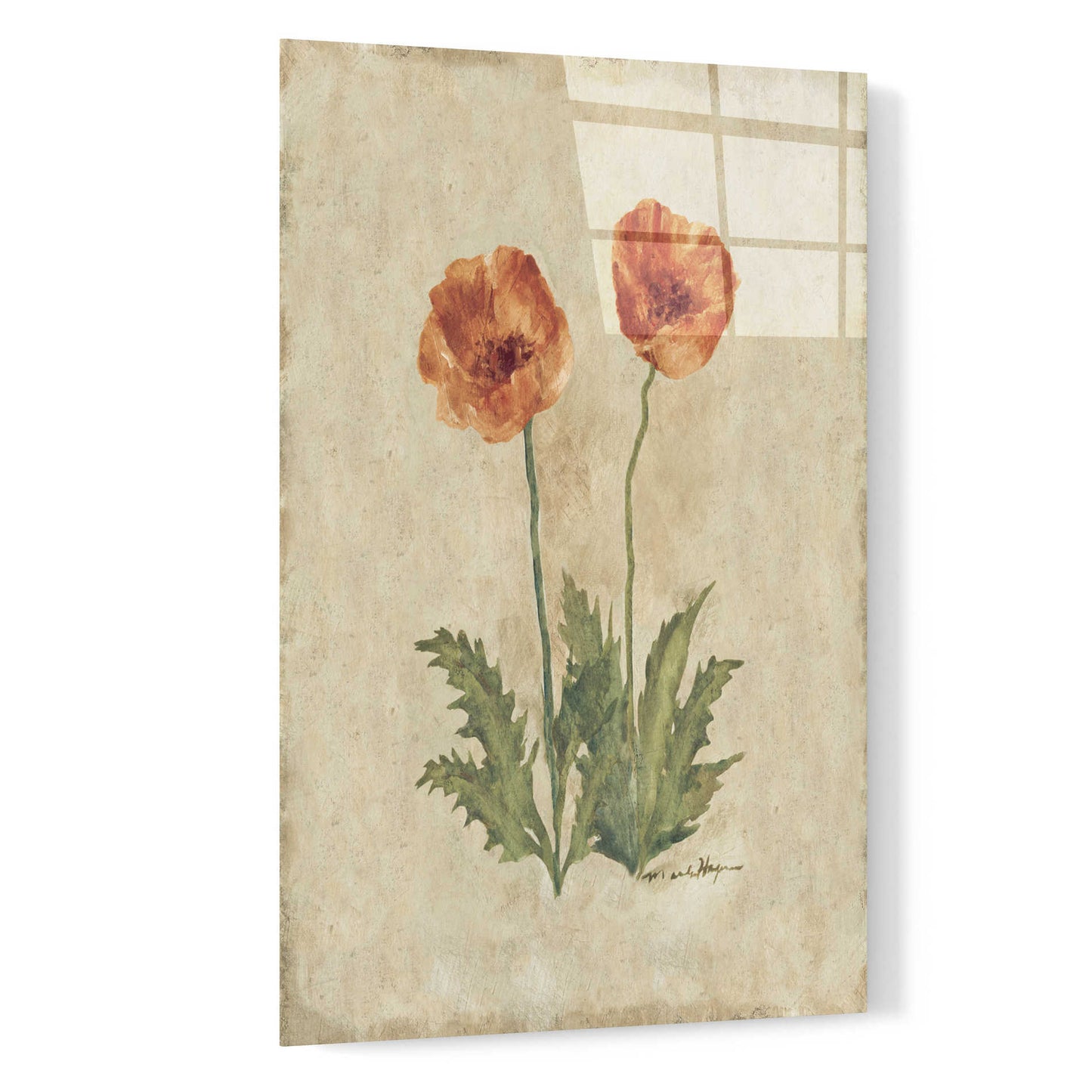 Epic Art 'Springtime Poppies' by Marilyn Hageman, Acrylic Glass Wall Art,16x24