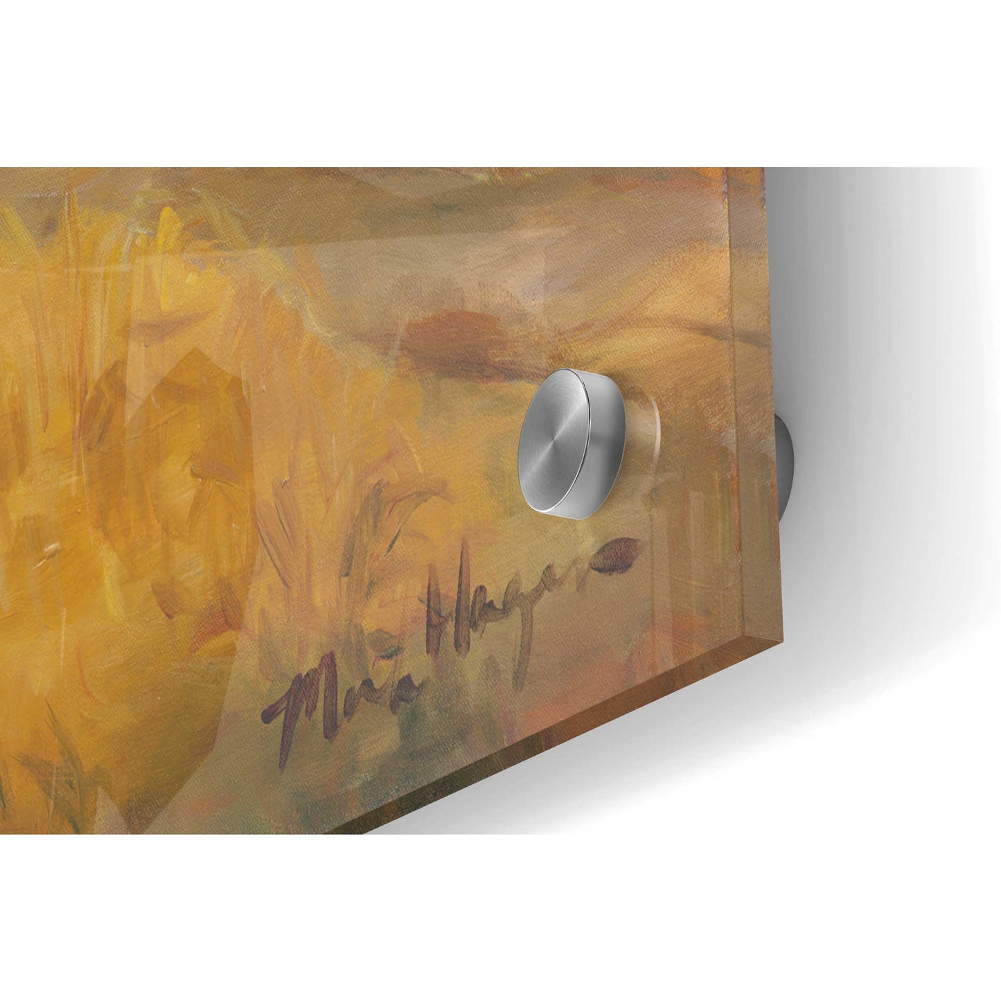 Epic Art 'Cerrito di Spoleto' by Marilyn Hageman, Acrylic Glass Wall Art,36x24