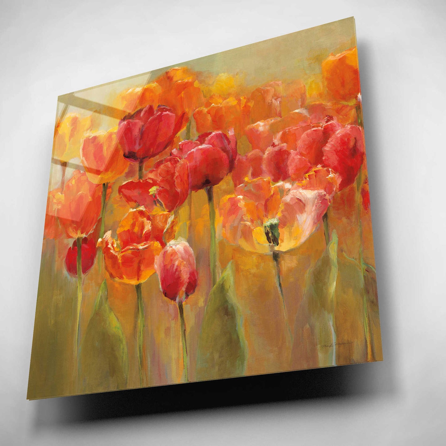 Epic Art 'Tulips in the Midst III Square' by Marilyn Hageman, Acrylic Glass Wall Art,12x12