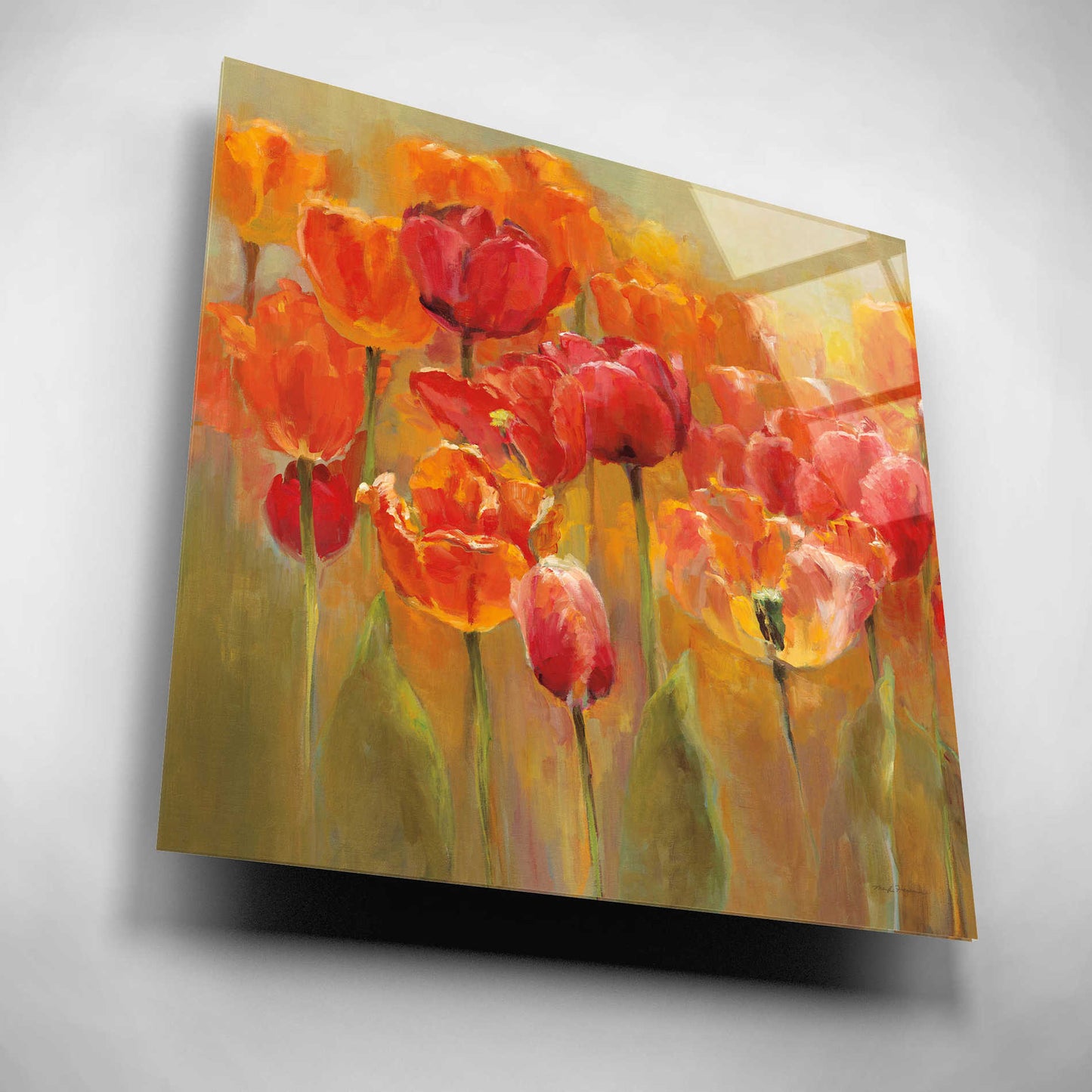 Epic Art 'Tulips in the Midst III Square' by Marilyn Hageman, Acrylic Glass Wall Art,12x12