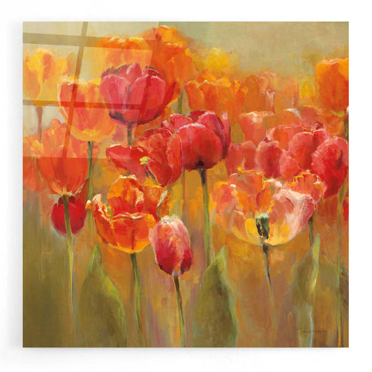 Epic Art 'Tulips in the Midst III Square' by Marilyn Hageman, Acrylic Glass Wall Art