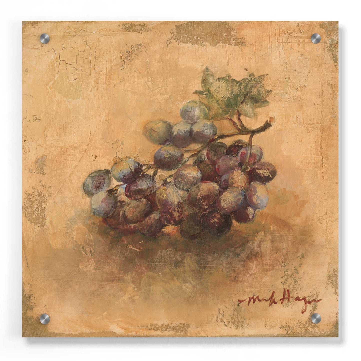 Epic Art 'Gilted Grapes' by Marilyn Hageman, Acrylic Glass Wall Art,36x36