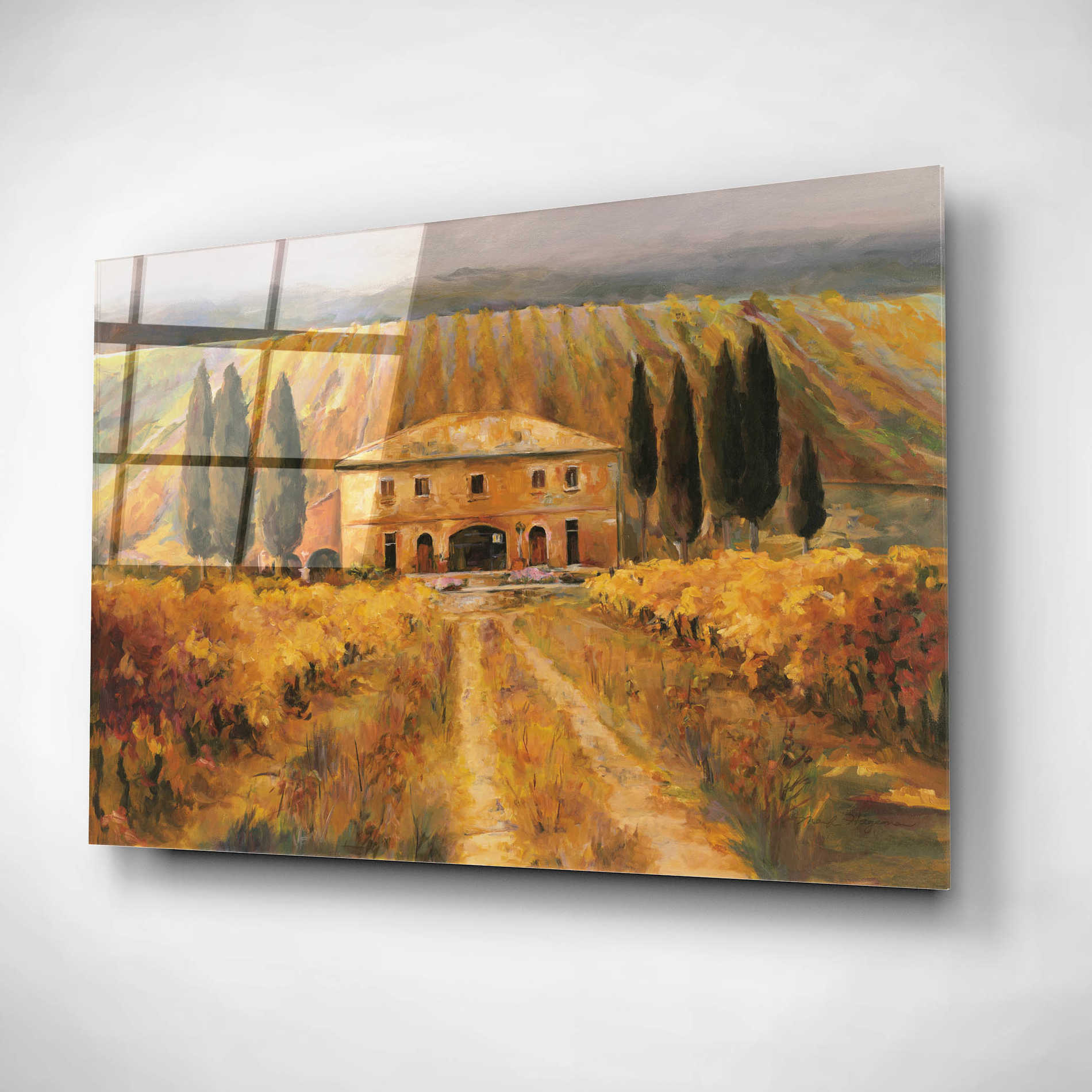 Epic Art 'Toscana Vigna Special' by Marilyn Hageman, Acrylic Glass Wall Art,16x12