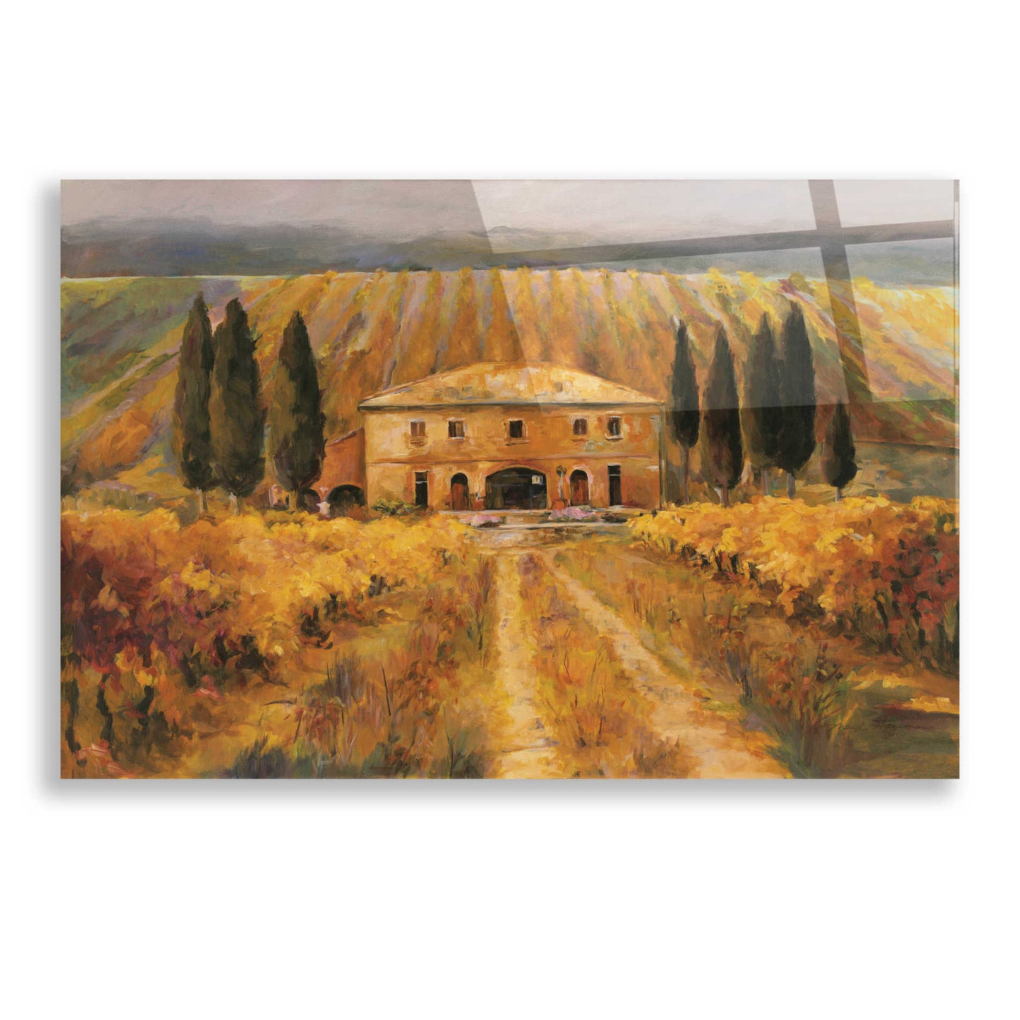 Epic Art 'Toscana Vigna Special' by Marilyn Hageman, Acrylic Glass Wall Art,24x16