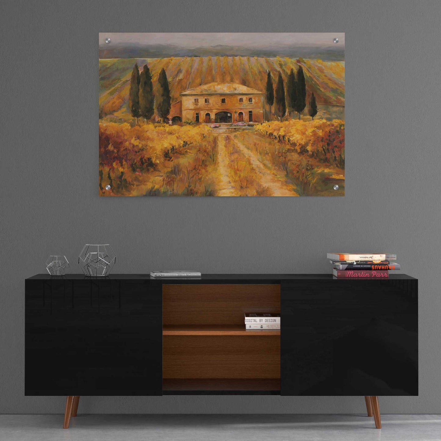 Epic Art 'Toscana Vigna Special' by Marilyn Hageman, Acrylic Glass Wall Art,36x24