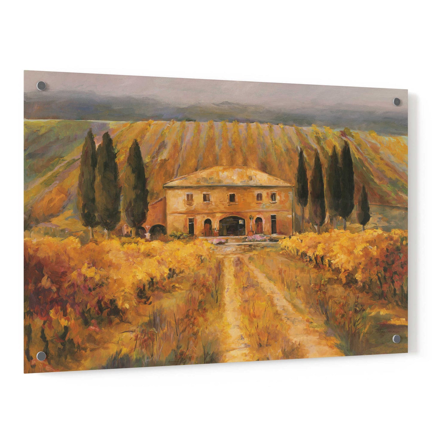 Epic Art 'Toscana Vigna Special' by Marilyn Hageman, Acrylic Glass Wall Art,36x24