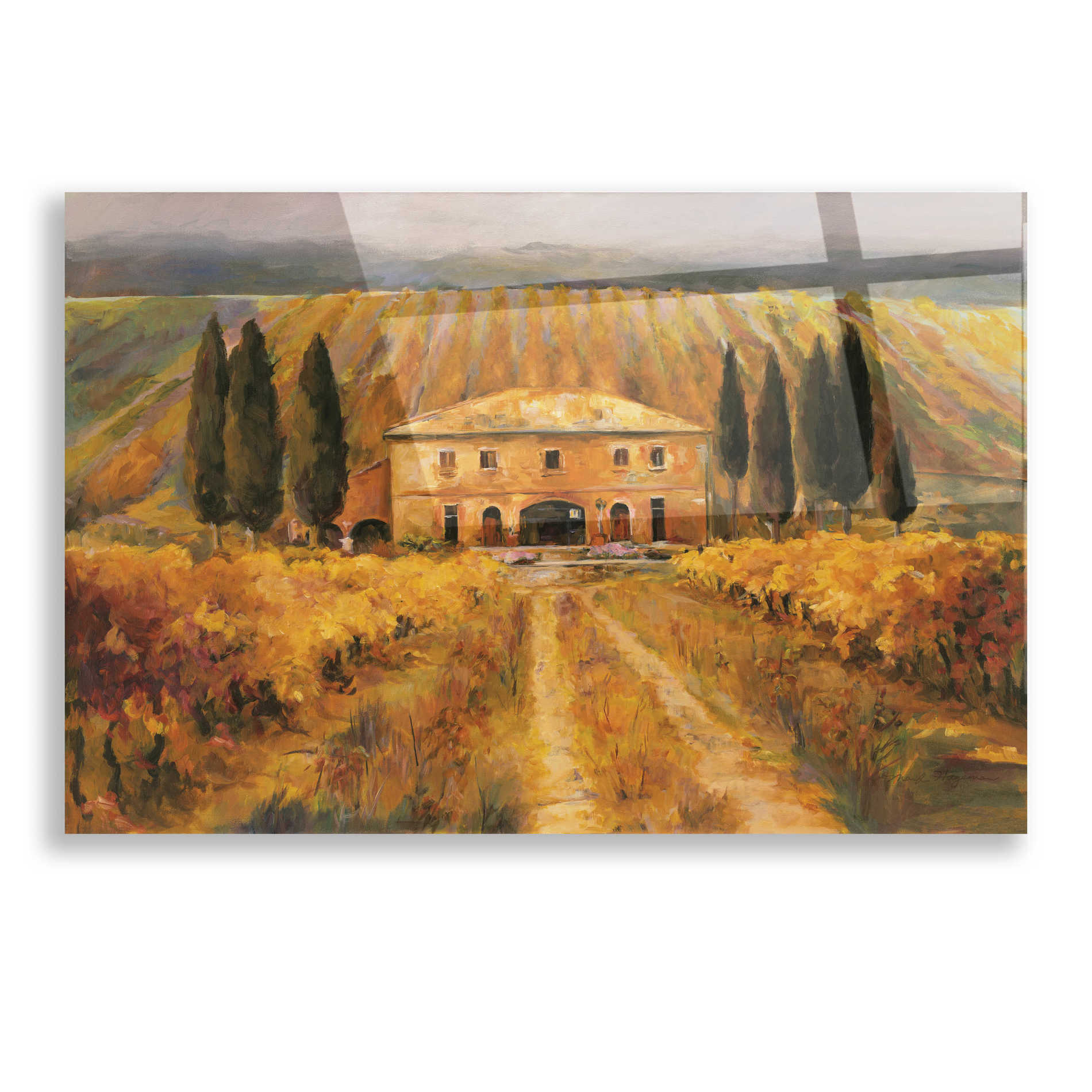 Epic Art 'Toscana Vigna Special' by Marilyn Hageman, Acrylic Glass Wall Art