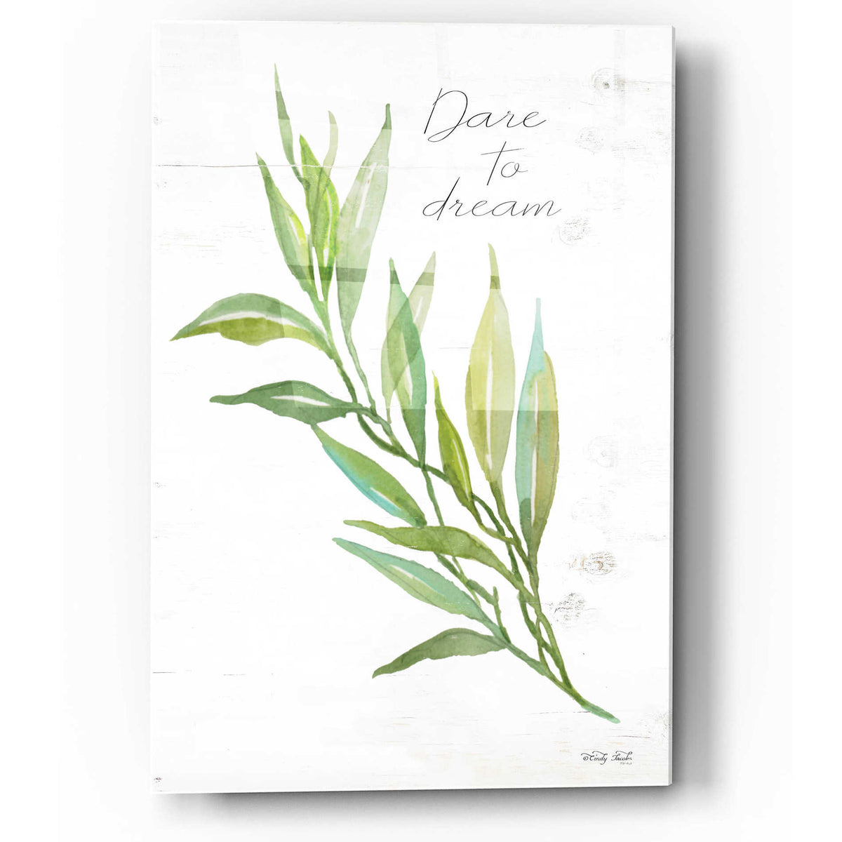 Epic Art 'Dare to Dream' by Cindy Jacobs, Acrylic Glass Wall Art