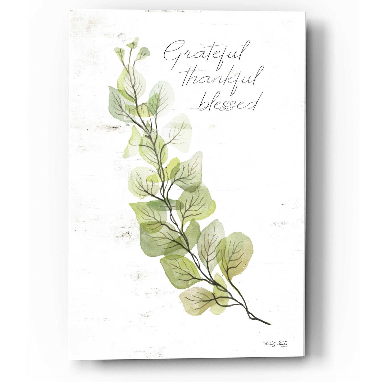 Epic Art 'Grateful Thankful Blessed' by Cindy Jacobs, Acrylic Glass Wall Art,12x16