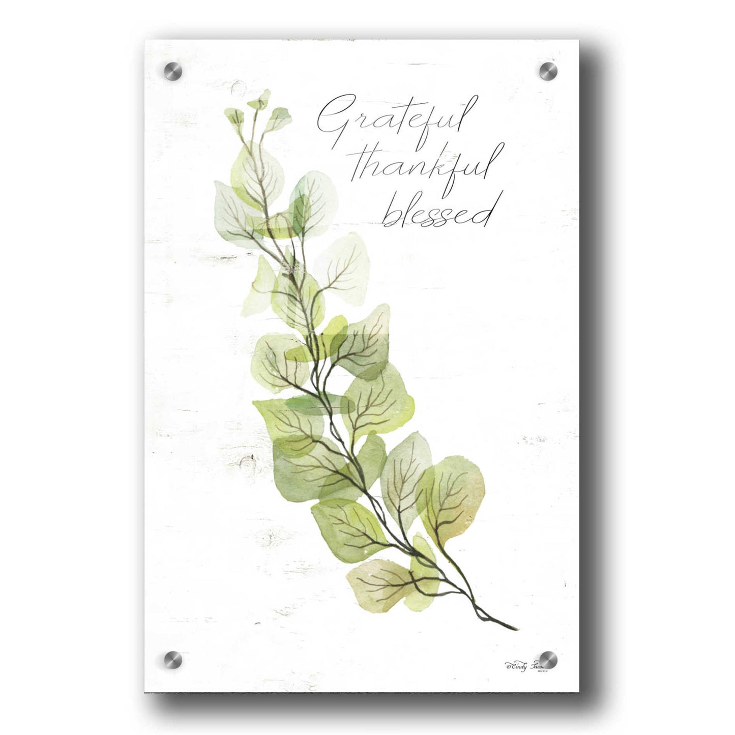 Epic Art 'Grateful Thankful Blessed' by Cindy Jacobs, Acrylic Glass Wall Art,24x36