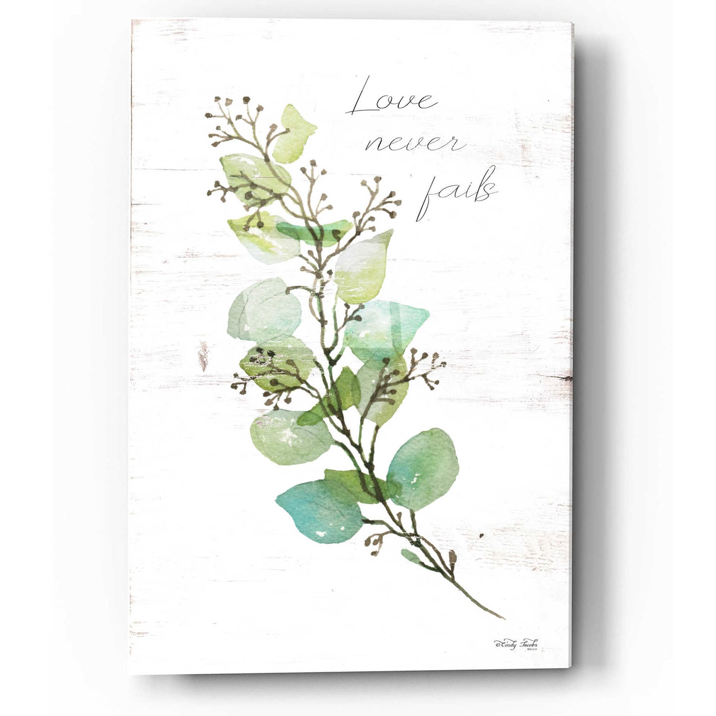 Epic Art 'Love Never Fails' by Cindy Jacobs, Acrylic Glass Wall Art,12x16