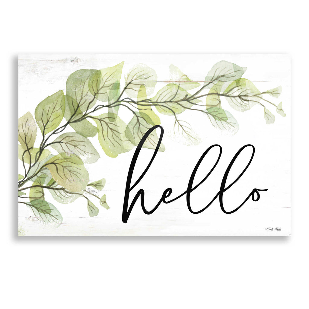Epic Art 'Hello' by Cindy Jacobs, Acrylic Glass Wall Art