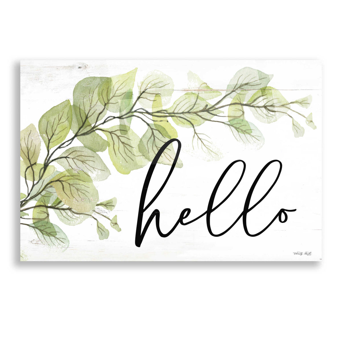 Epic Art 'Hello' by Cindy Jacobs, Acrylic Glass Wall Art