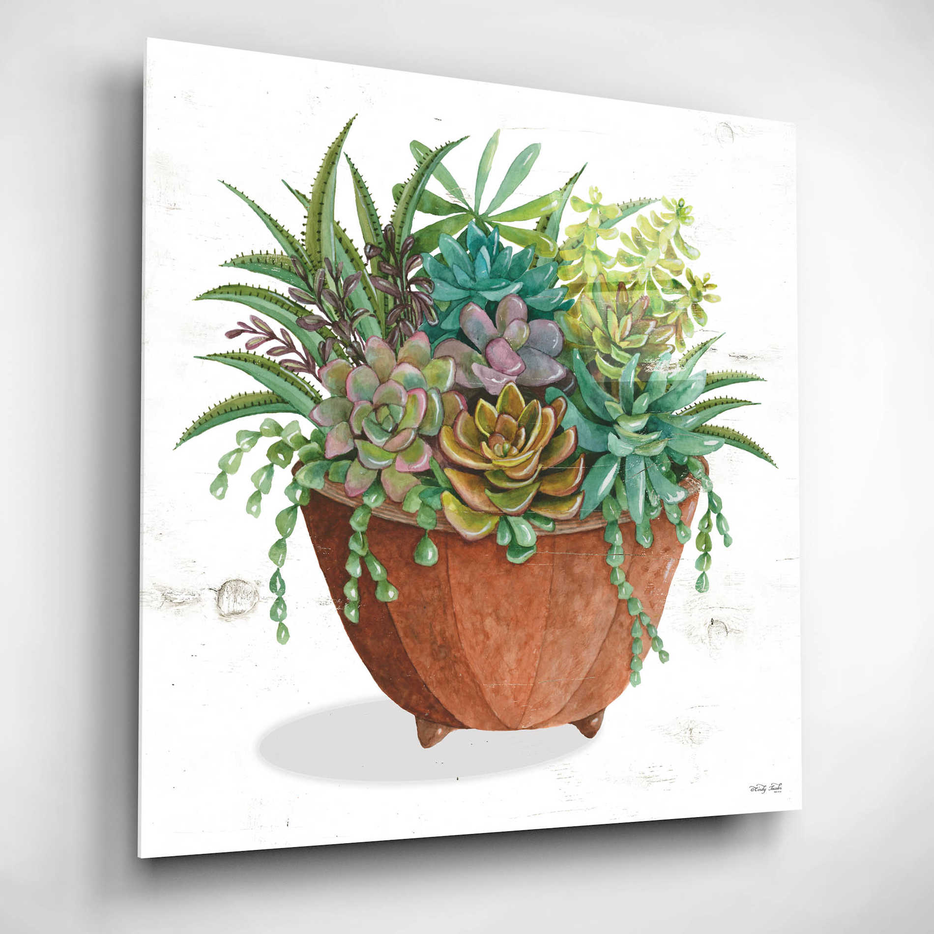 Epic Art 'Terracotta Succulents I' by Cindy Jacobs, Acrylic Glass Wall Art,12x12