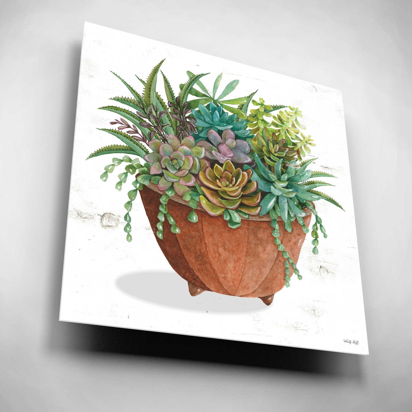 Epic Art 'Terracotta Succulents I' by Cindy Jacobs, Acrylic Glass Wall Art,12x12