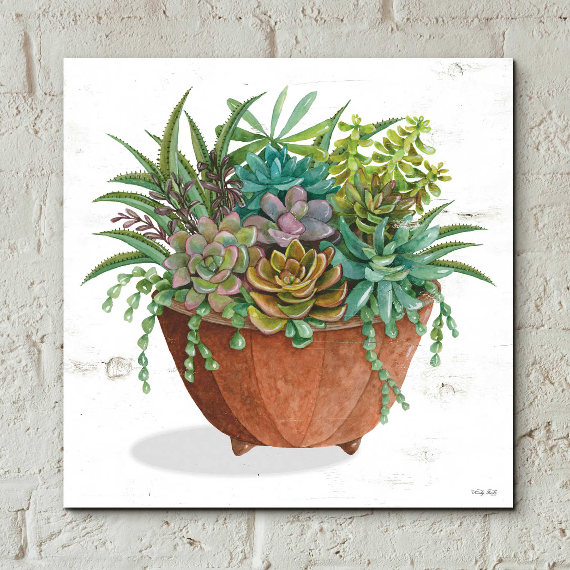 Epic Art 'Terracotta Succulents I' by Cindy Jacobs, Acrylic Glass Wall Art,12x12