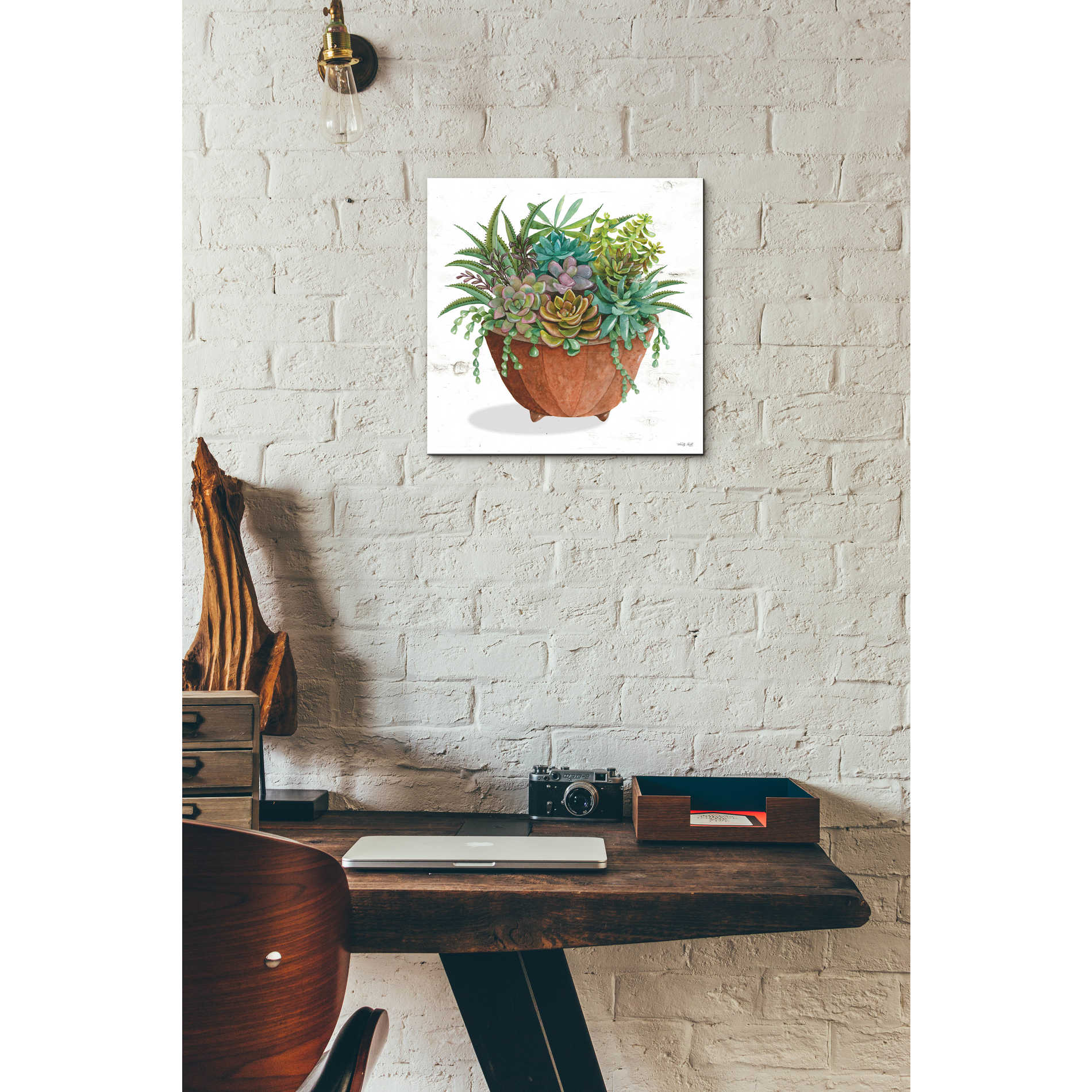 Epic Art 'Terracotta Succulents I' by Cindy Jacobs, Acrylic Glass Wall Art,12x12