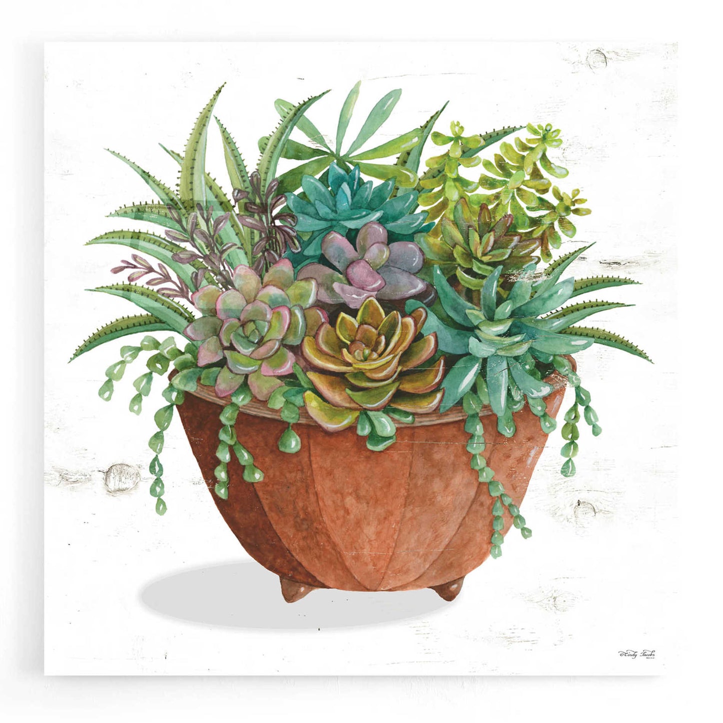 Epic Art 'Terracotta Succulents I' by Cindy Jacobs, Acrylic Glass Wall Art,12x12