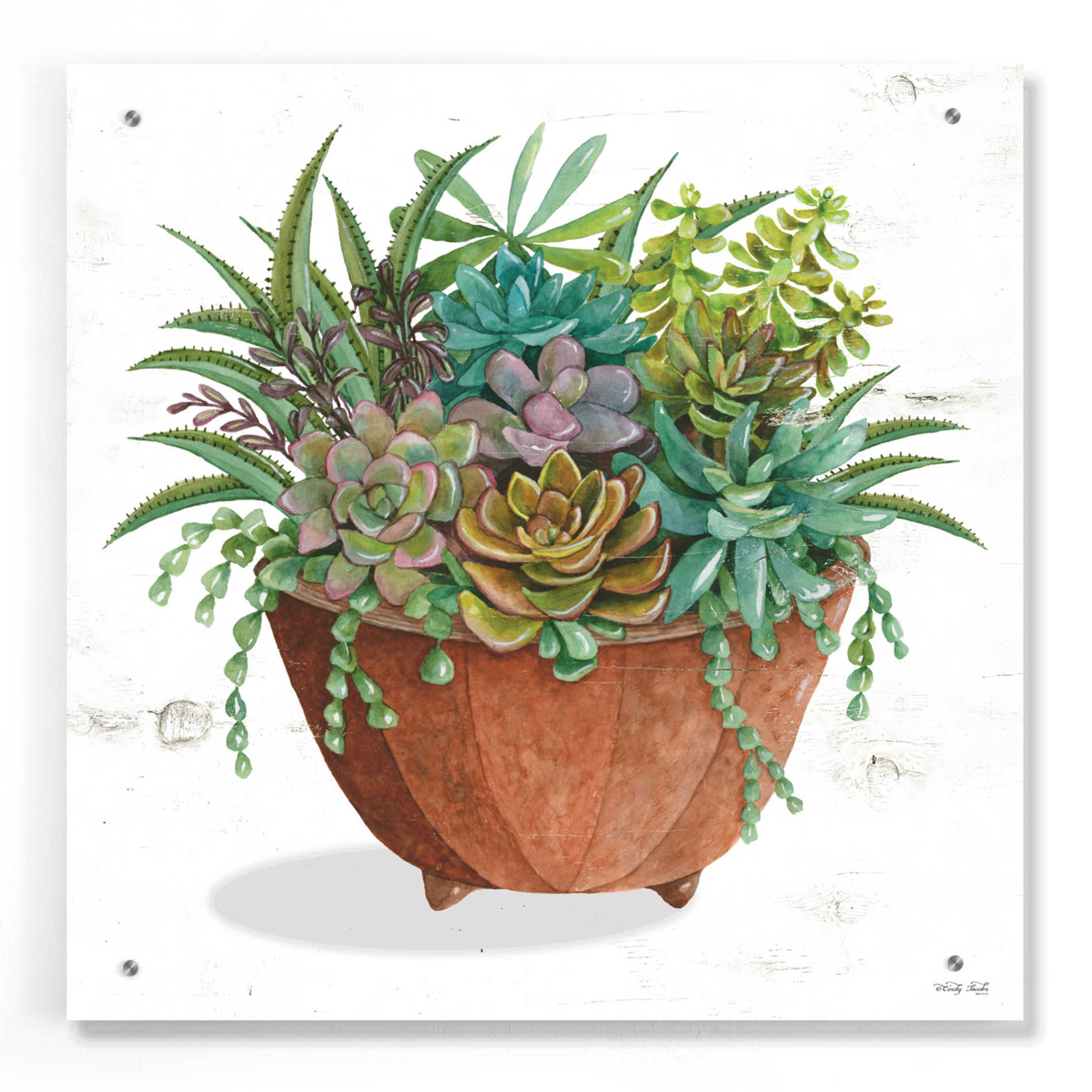 Epic Art 'Terracotta Succulents I' by Cindy Jacobs, Acrylic Glass Wall Art,24x24